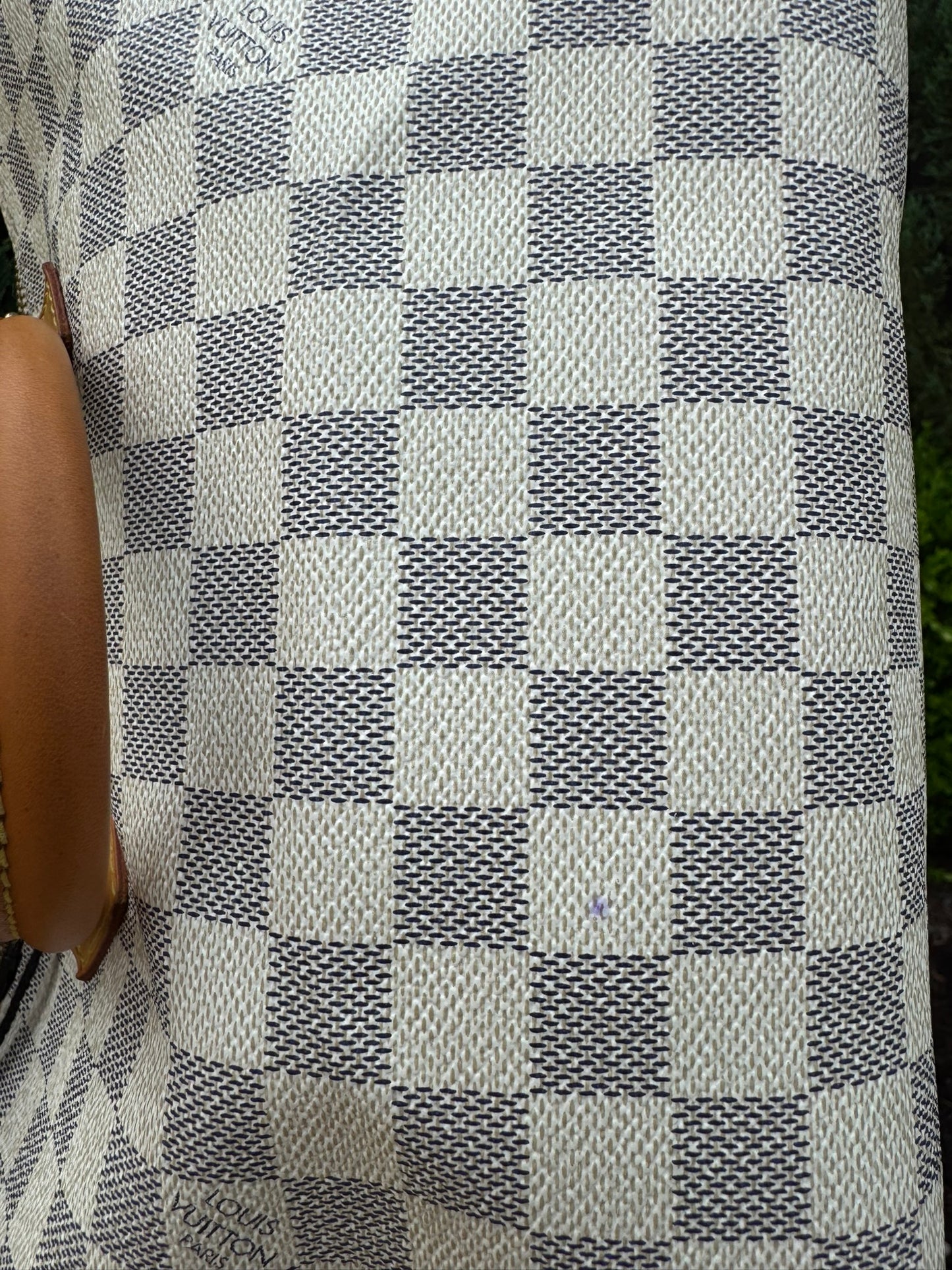 Louis Vuitton Speedy 25 Azur