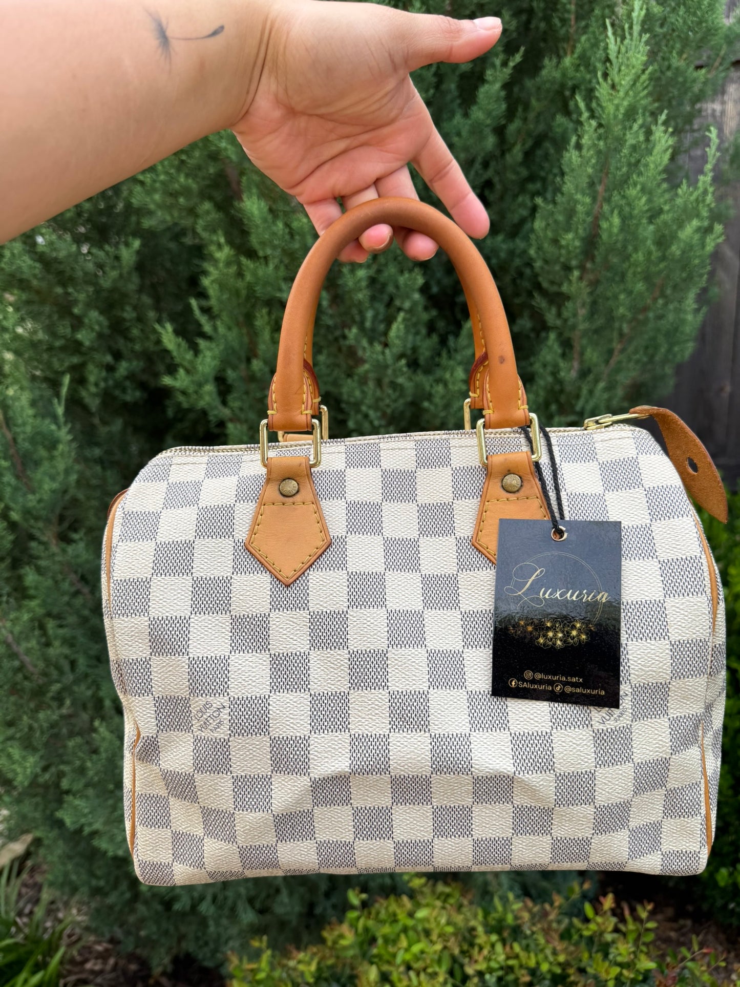 Louis Vuitton Speedy 25 Azur