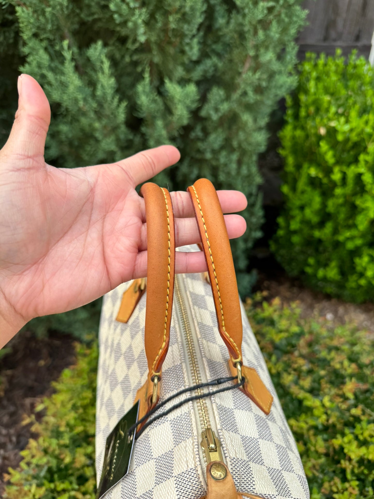 Louis Vuitton Speedy 25 Azur