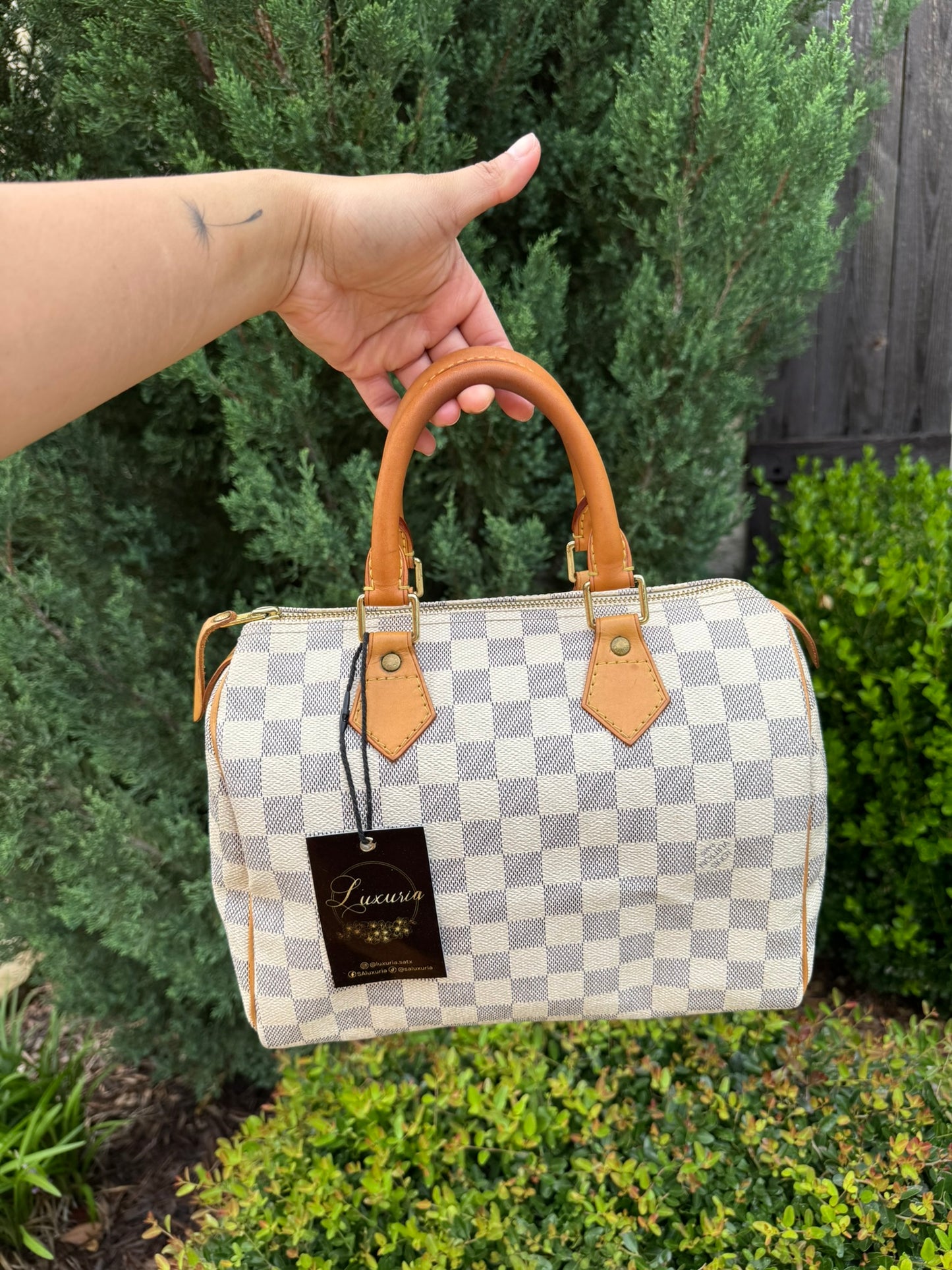 Louis Vuitton Speedy 25 Azur