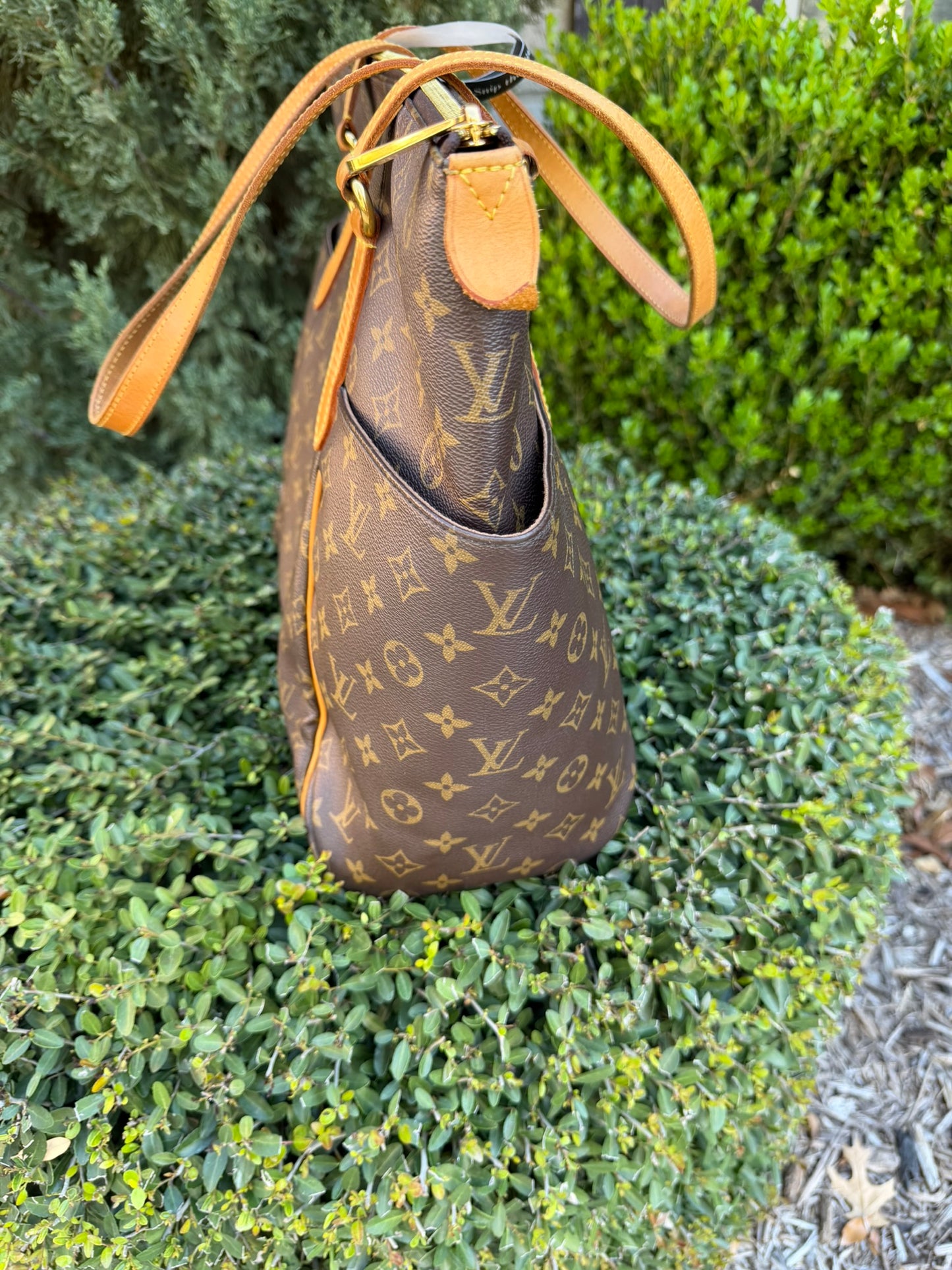 Louis Vuitton Totally GM in Monogram Canvas