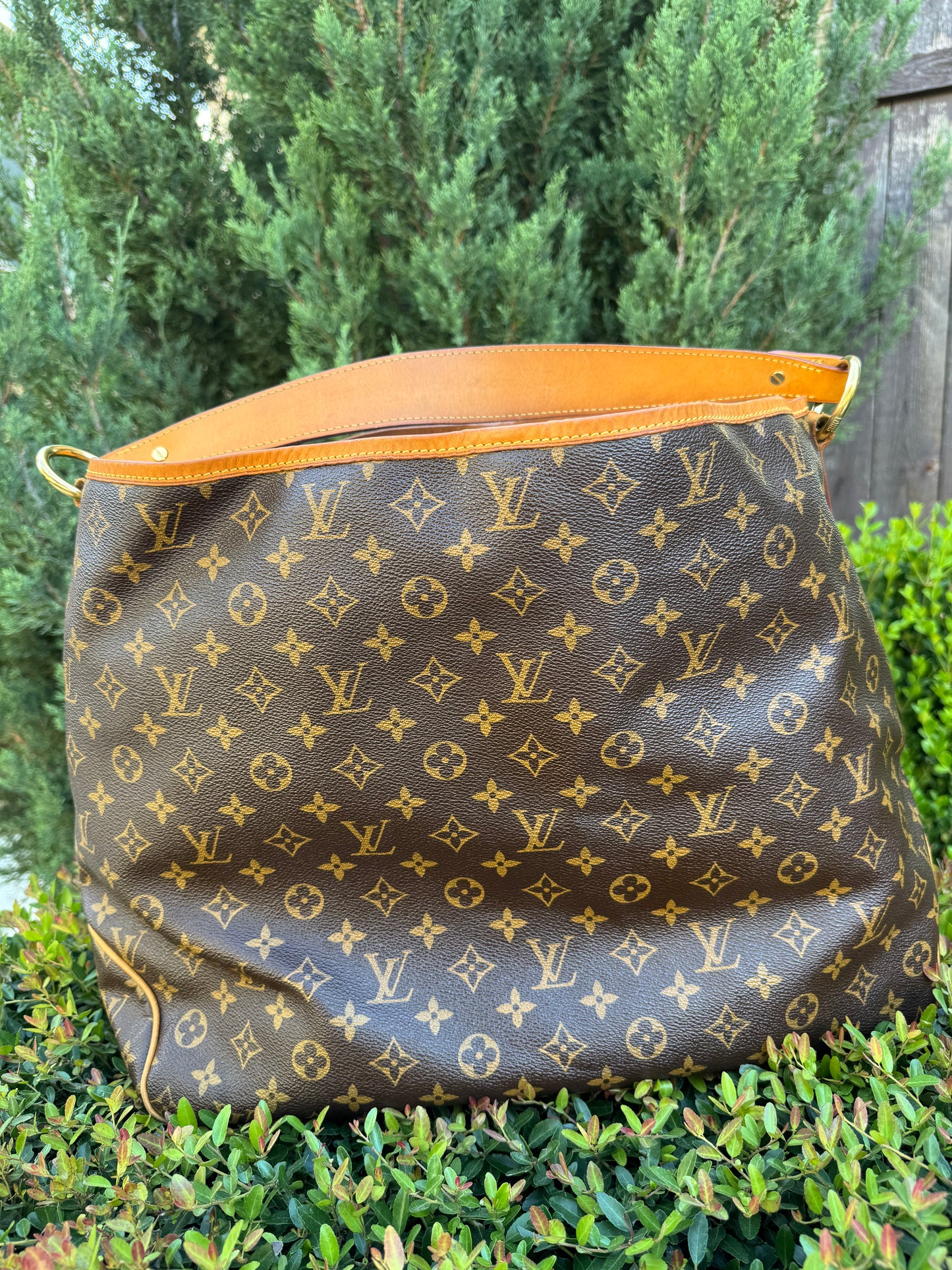 Louis Vuitton Delightful GM