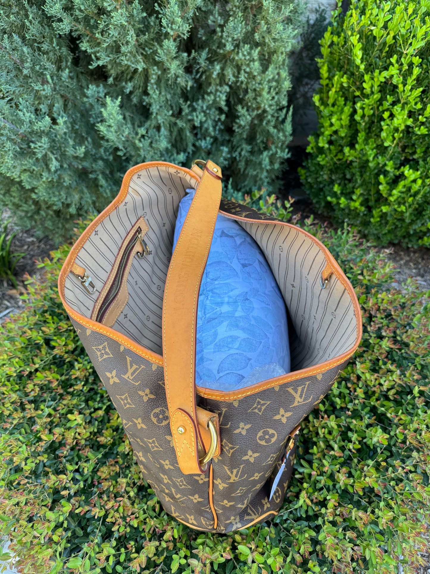 Louis Vuitton Delightful GM