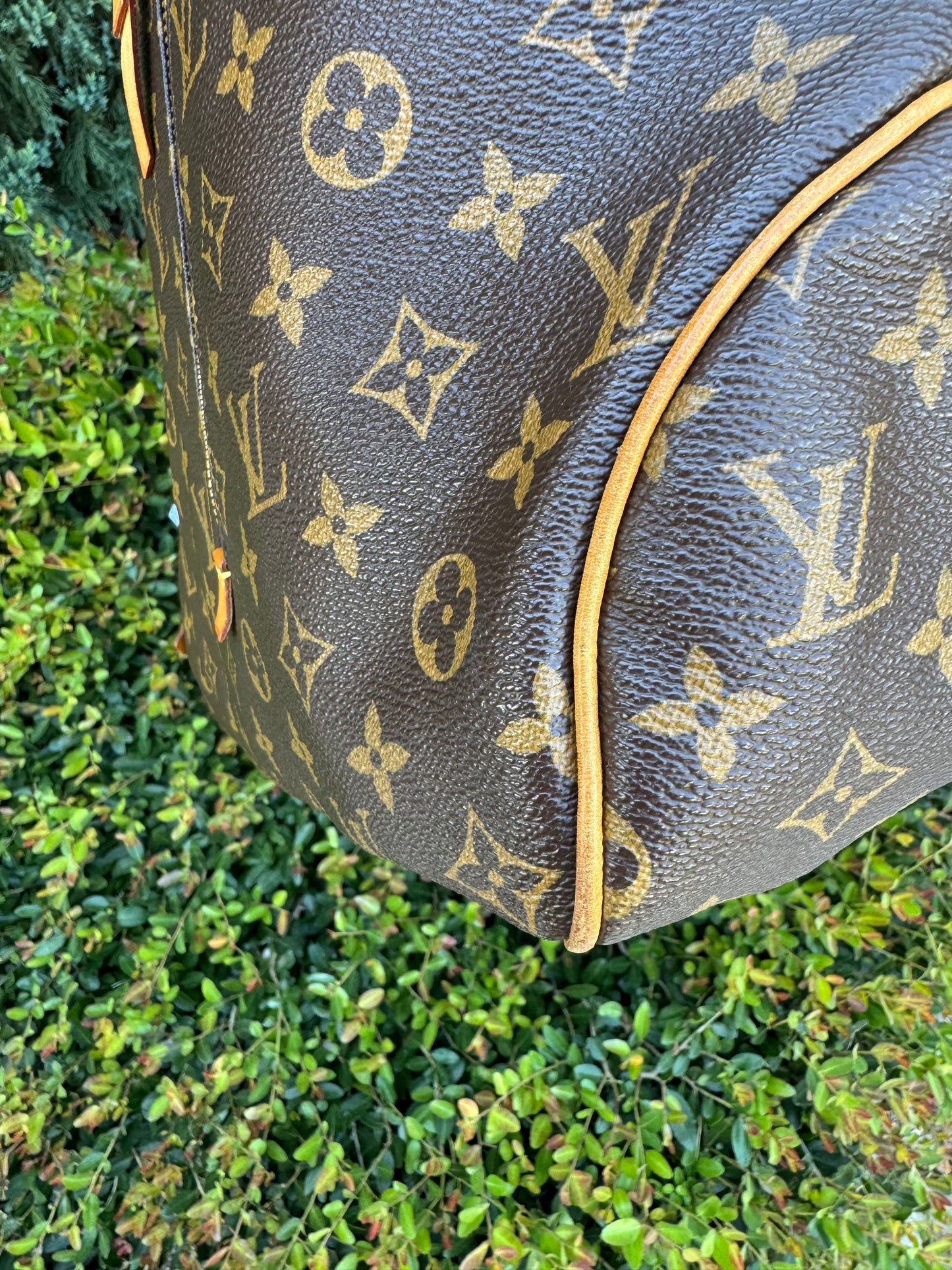 Louis Vuitton Delightful GM