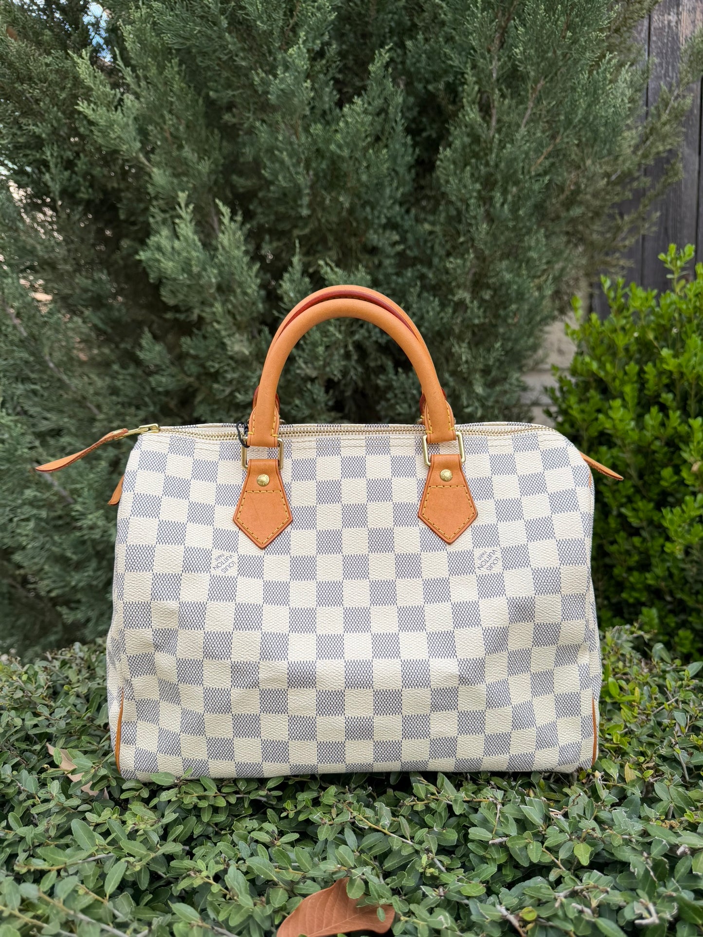 Louis Vuitton Speedy 30 in Damier Azur