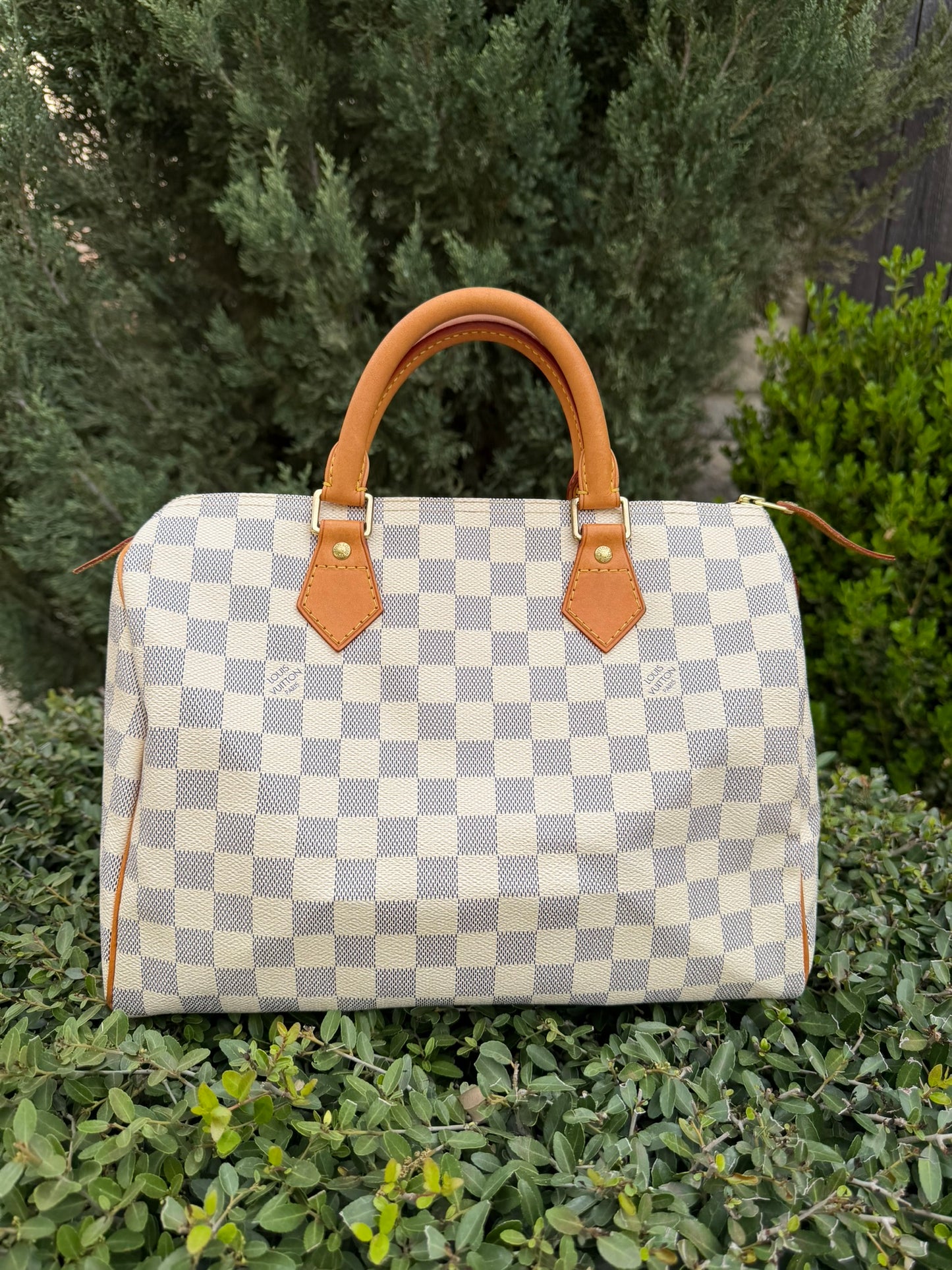 Louis Vuitton Speedy 30 in Damier Azur