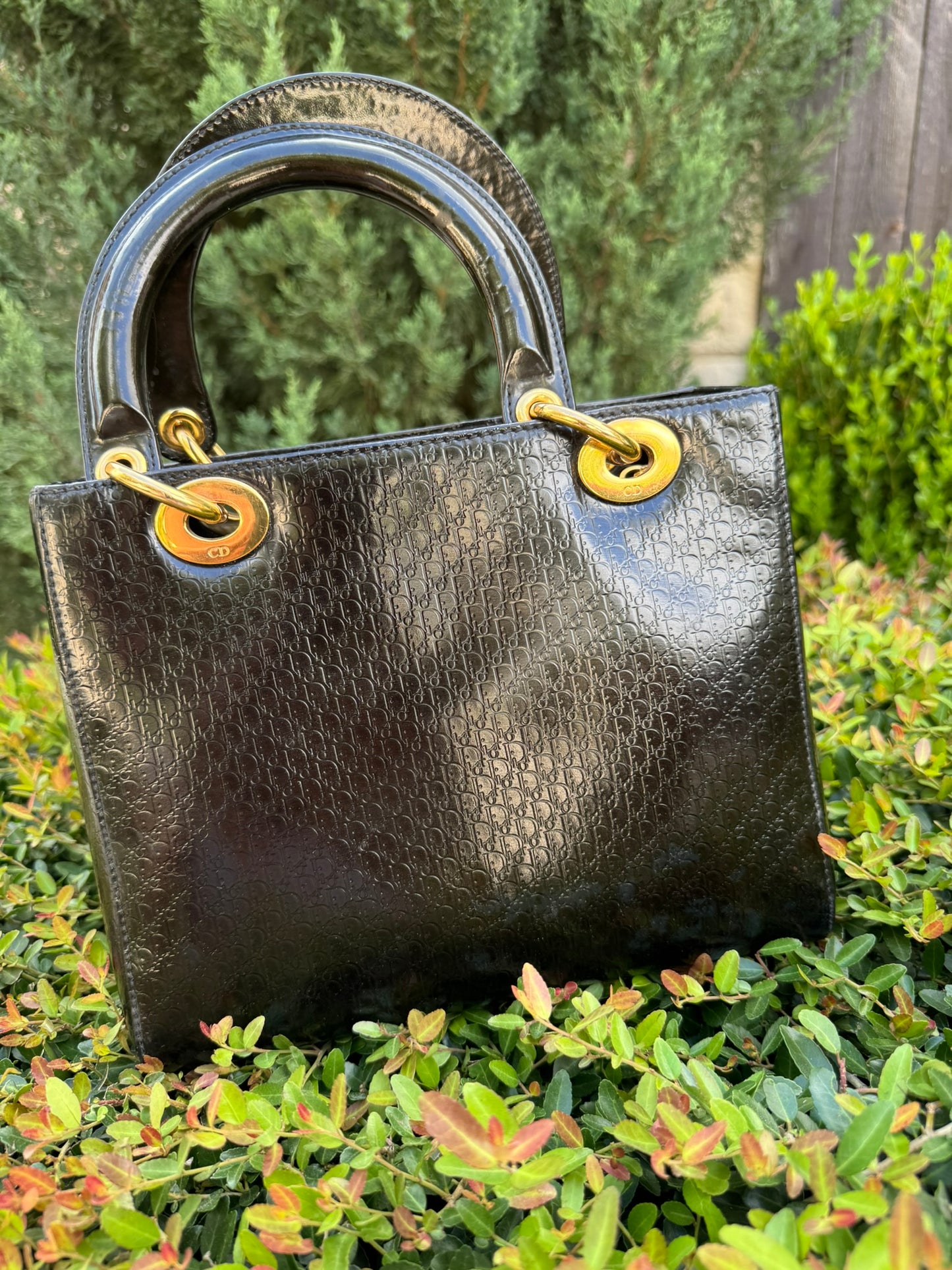 Dior Lady Dior Medium