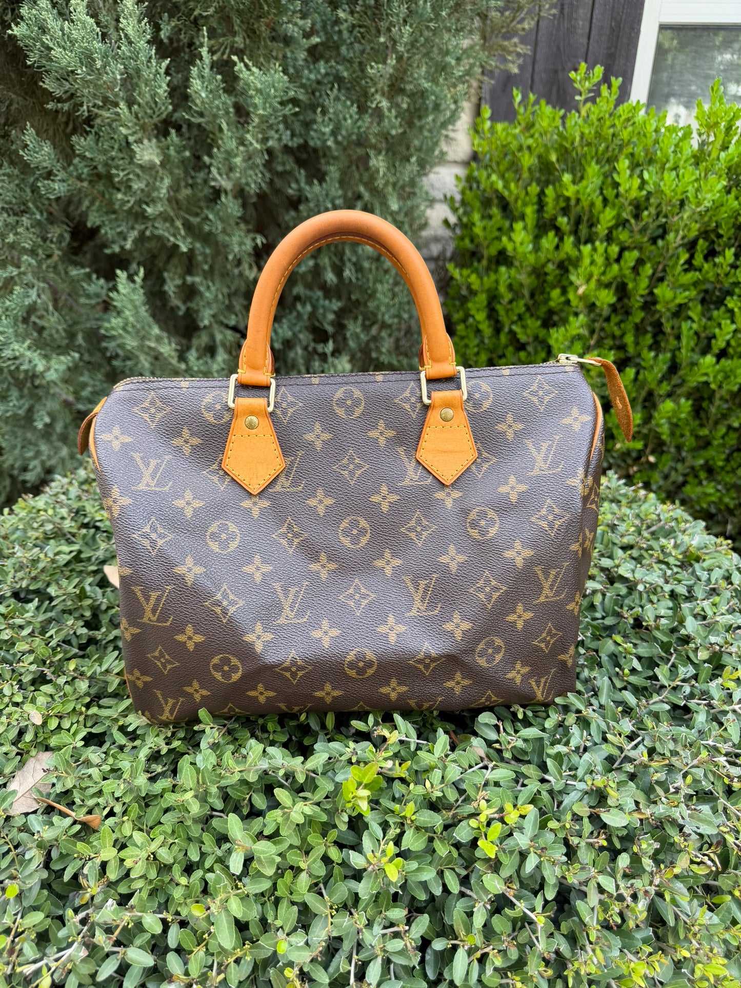 Louis Vuitton Speedy 30 in Monogram Canvas