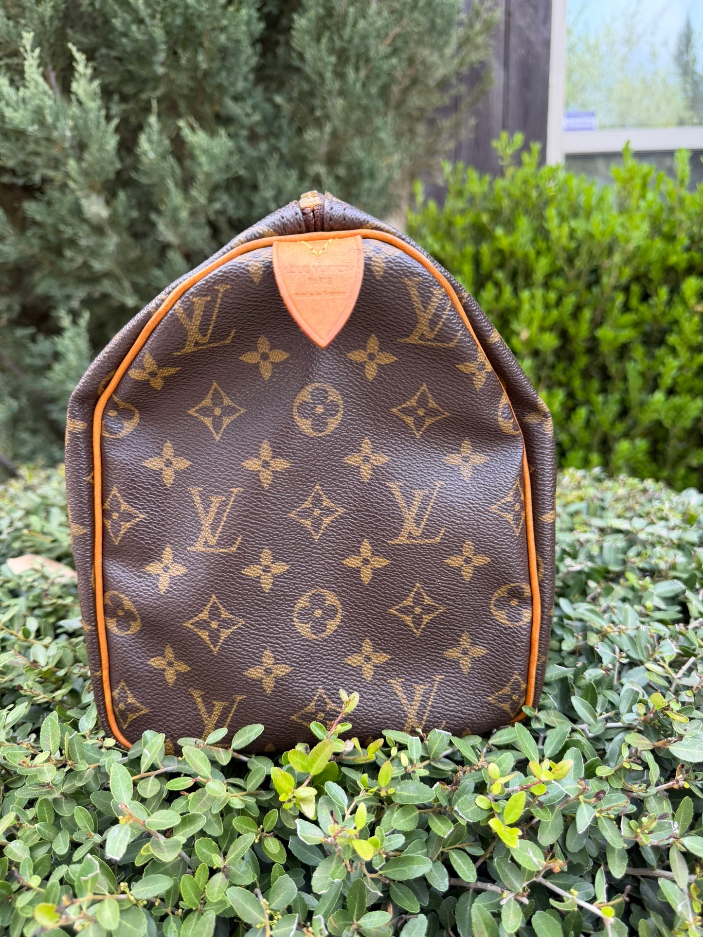 Louis Vuitton Speedy 30 in Monogram Canvas