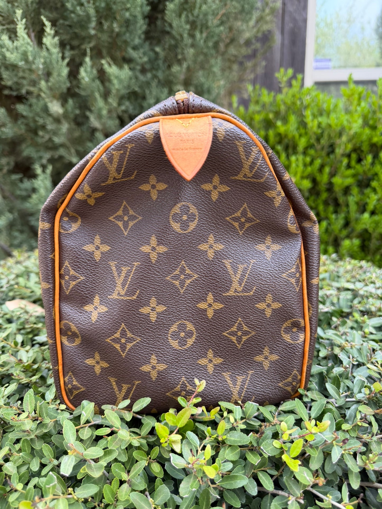 Louis Vuitton Speedy 30 in Monogram Canvas