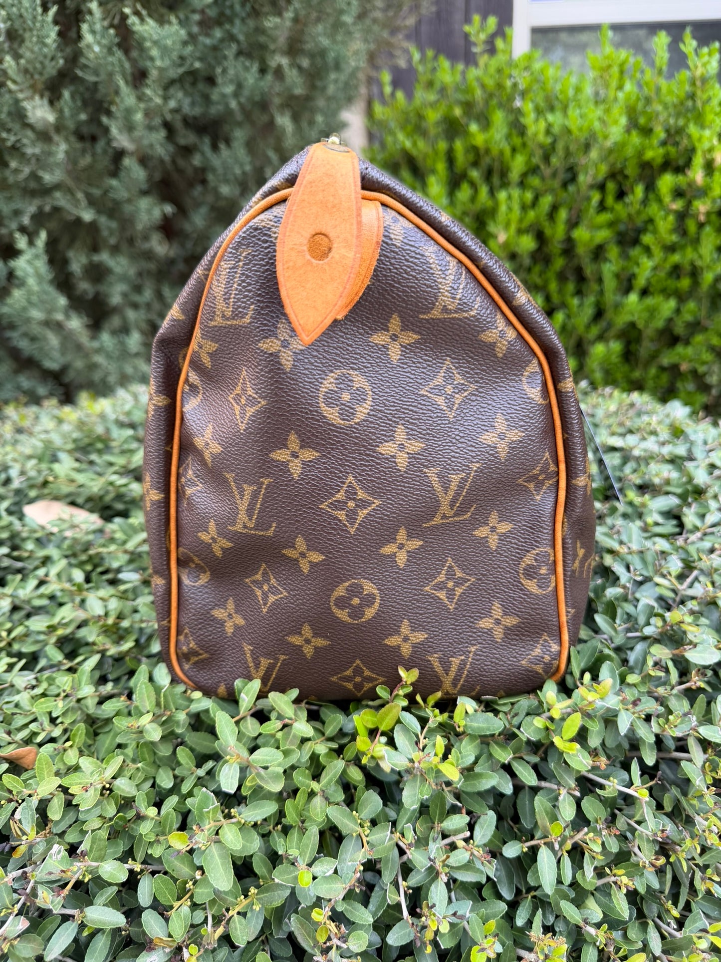 Louis Vuitton Speedy 30 in Monogram Canvas