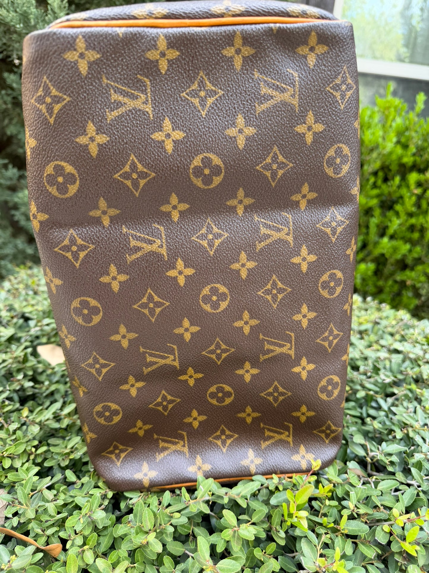 Louis Vuitton Speedy 30 in Monogram Canvas