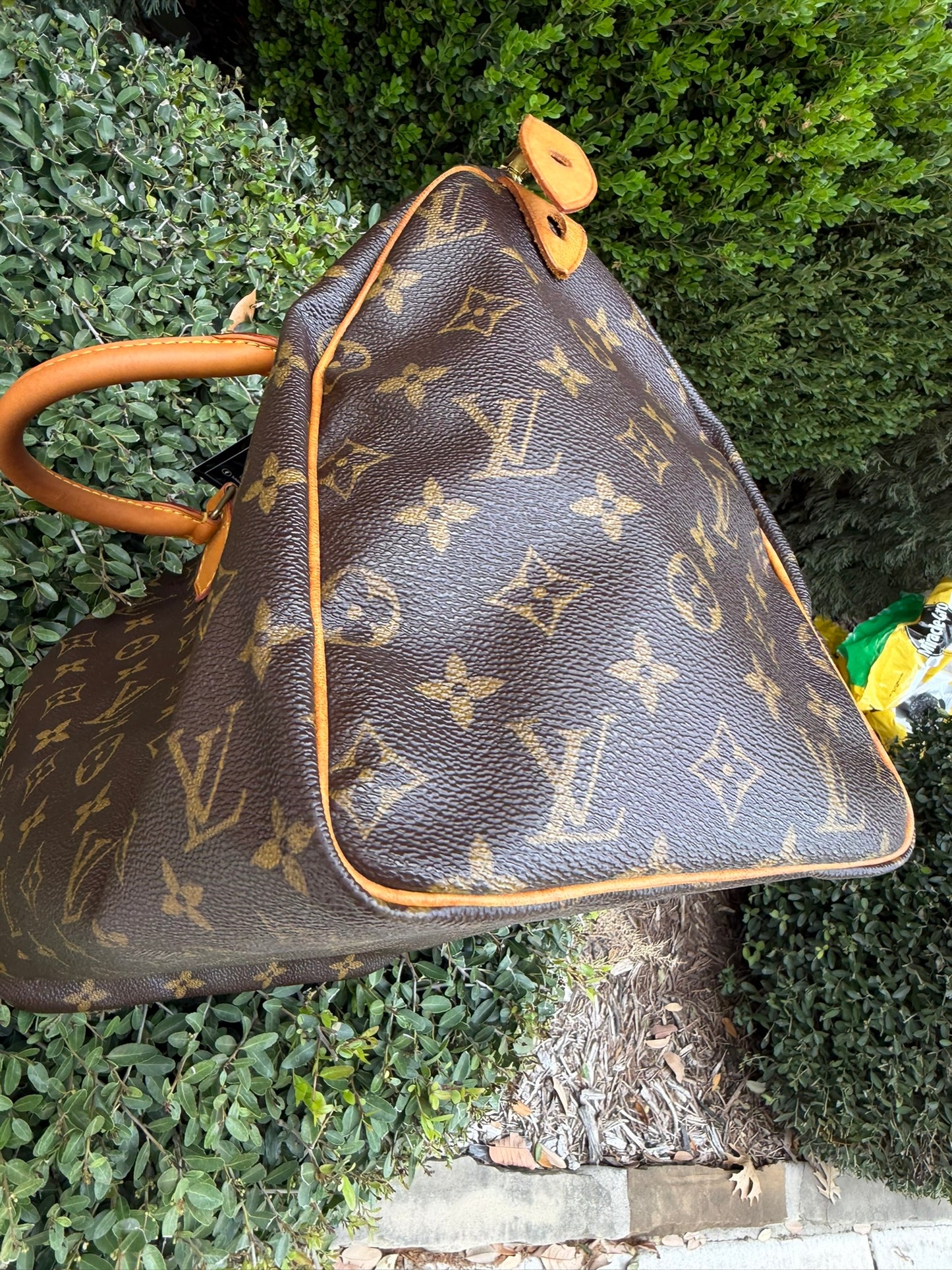 Louis Vuitton Speedy 30 in Monogram Canvas