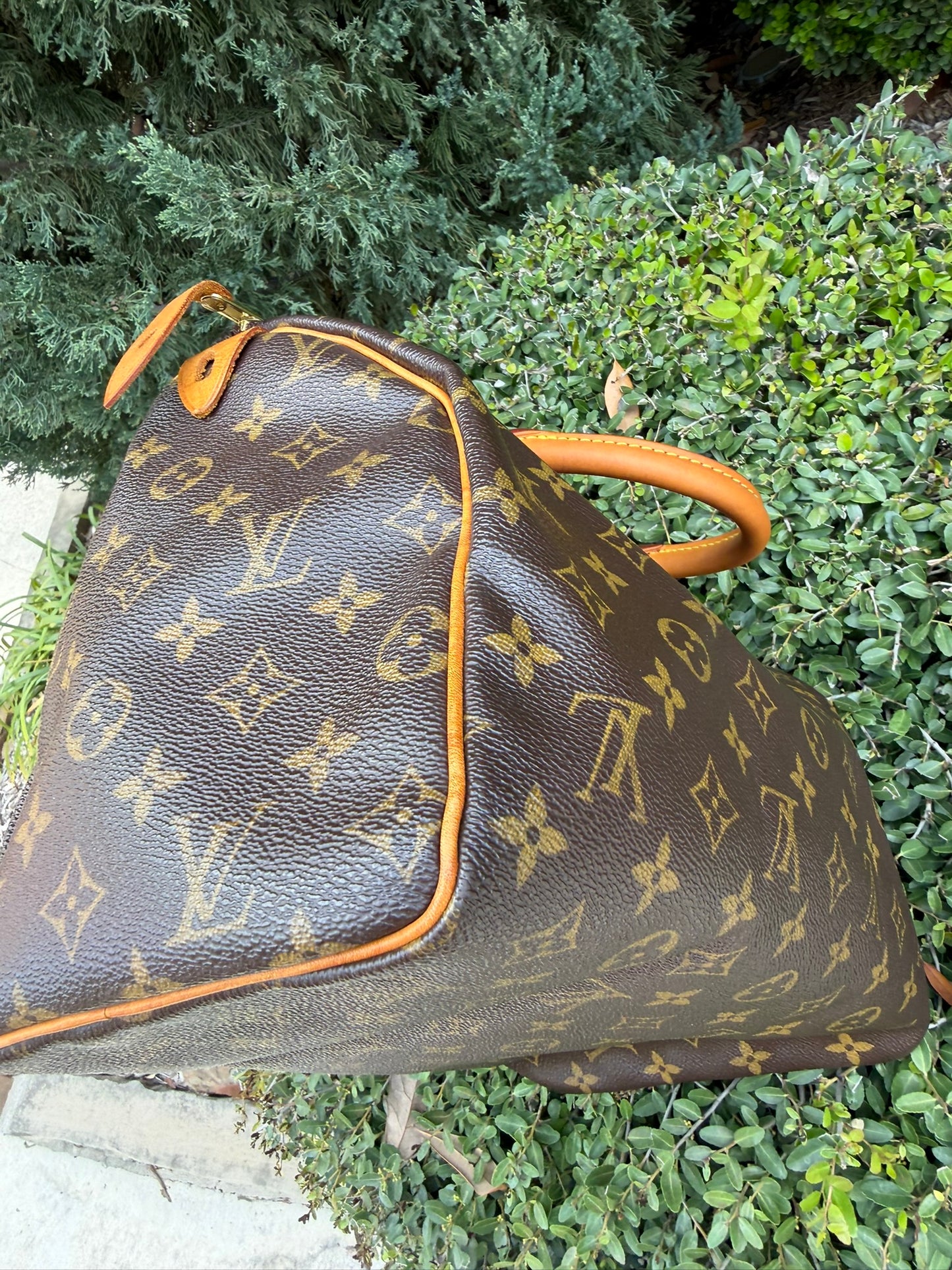 Louis Vuitton Speedy 30 in Monogram Canvas