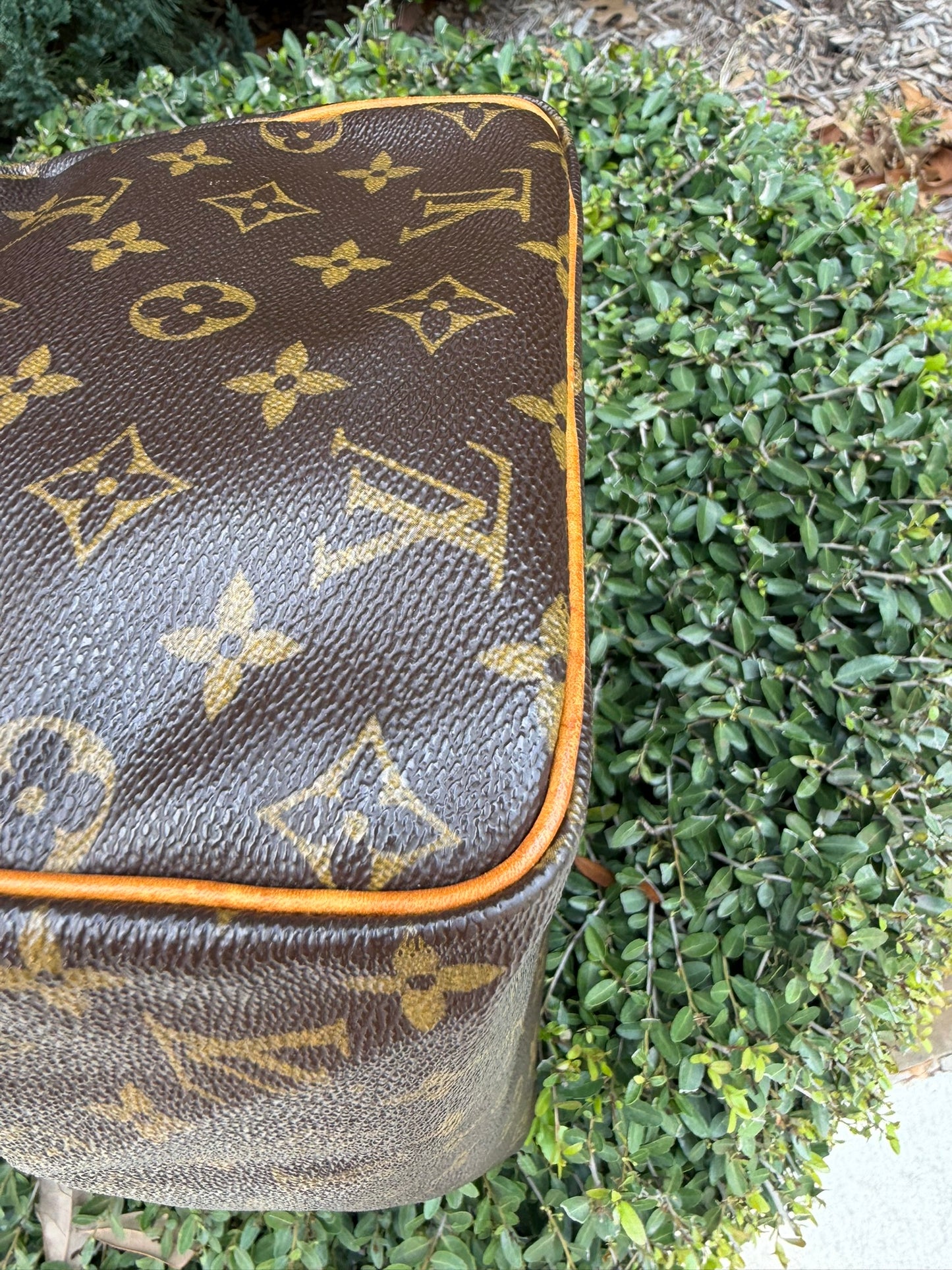 Louis Vuitton Speedy 30 in Monogram Canvas