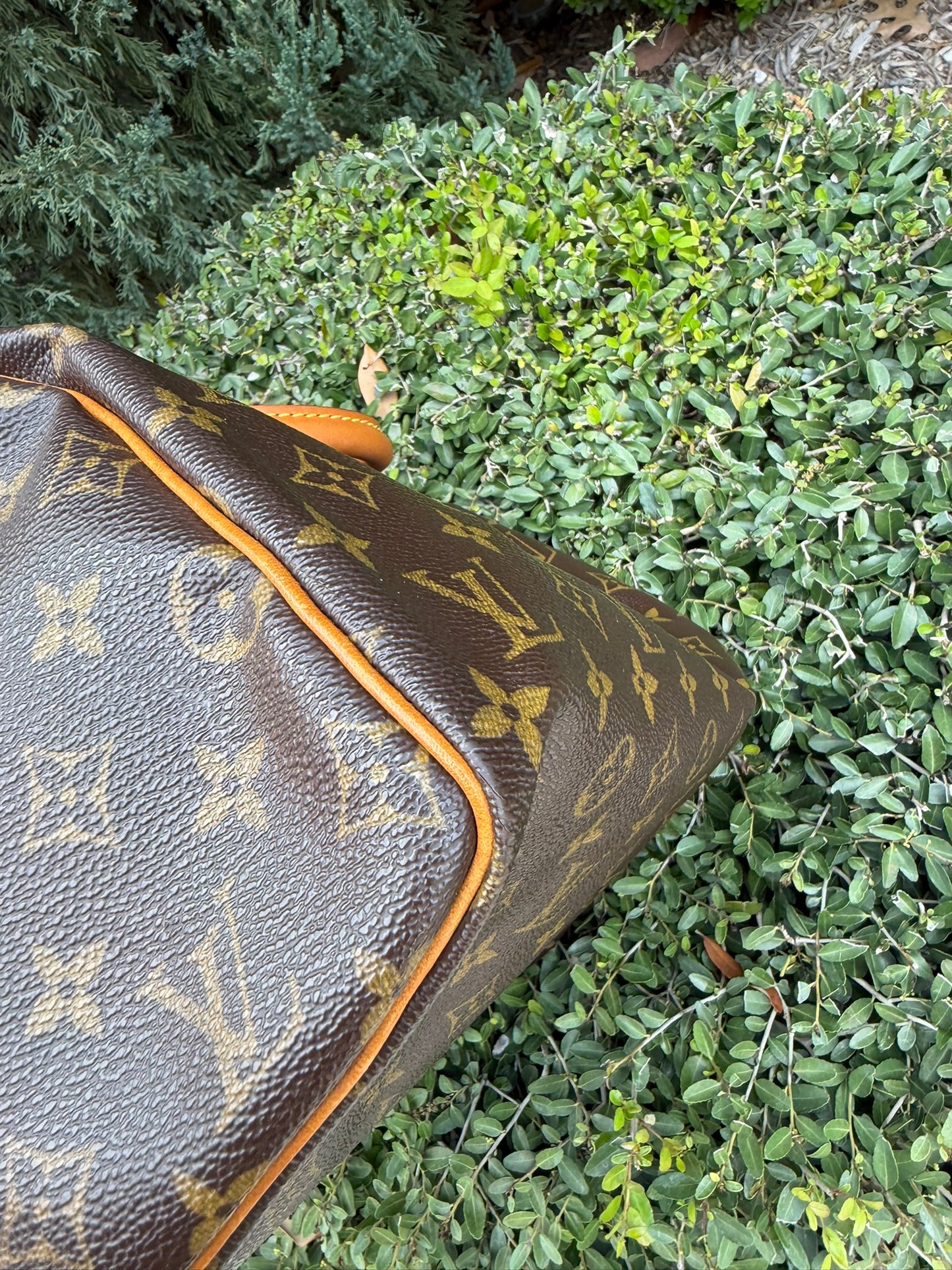 Louis Vuitton Speedy 30 in Monogram Canvas