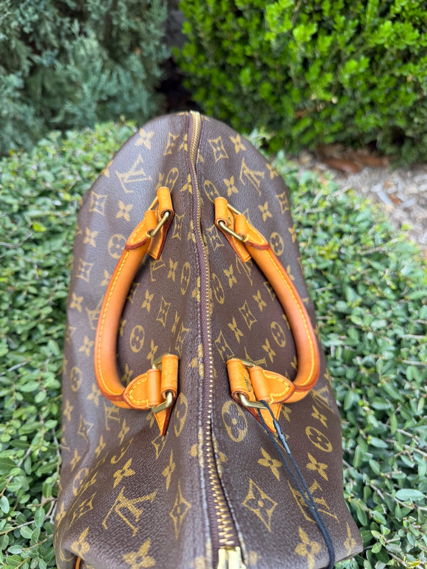 Louis Vuitton Speedy 30 in Monogram Canvas
