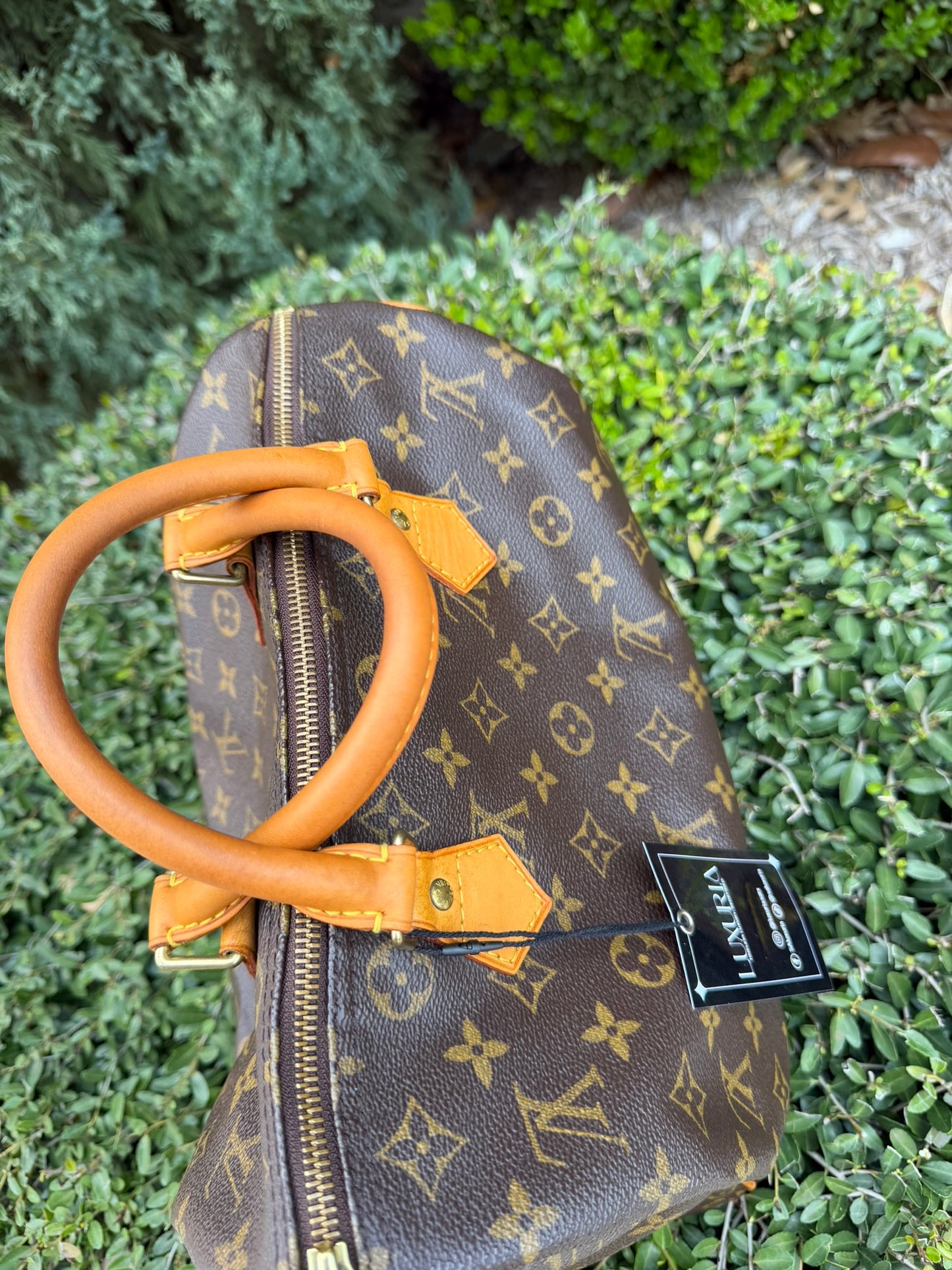 Louis Vuitton Speedy 30 in Monogram Canvas