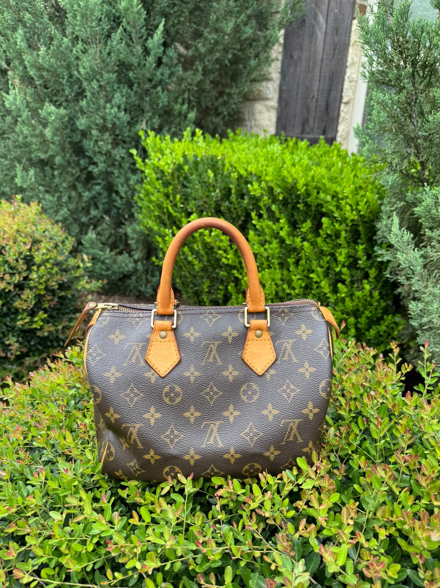 Louis Vuitton Speedy 25 in Monogram Canvas