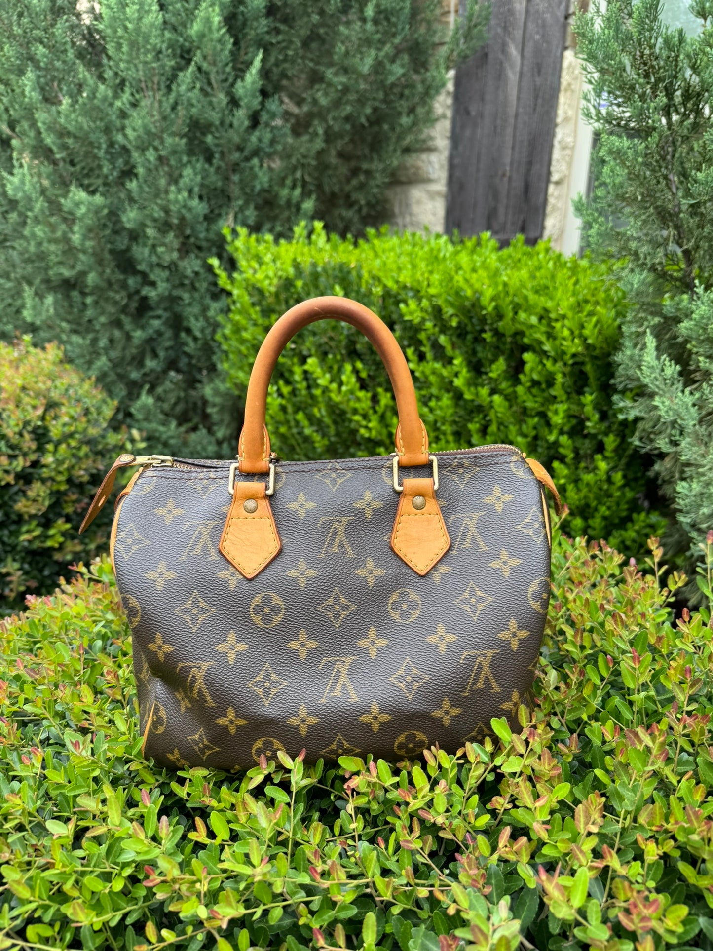 Louis Vuitton Speedy 25 in Monogram Canvas
