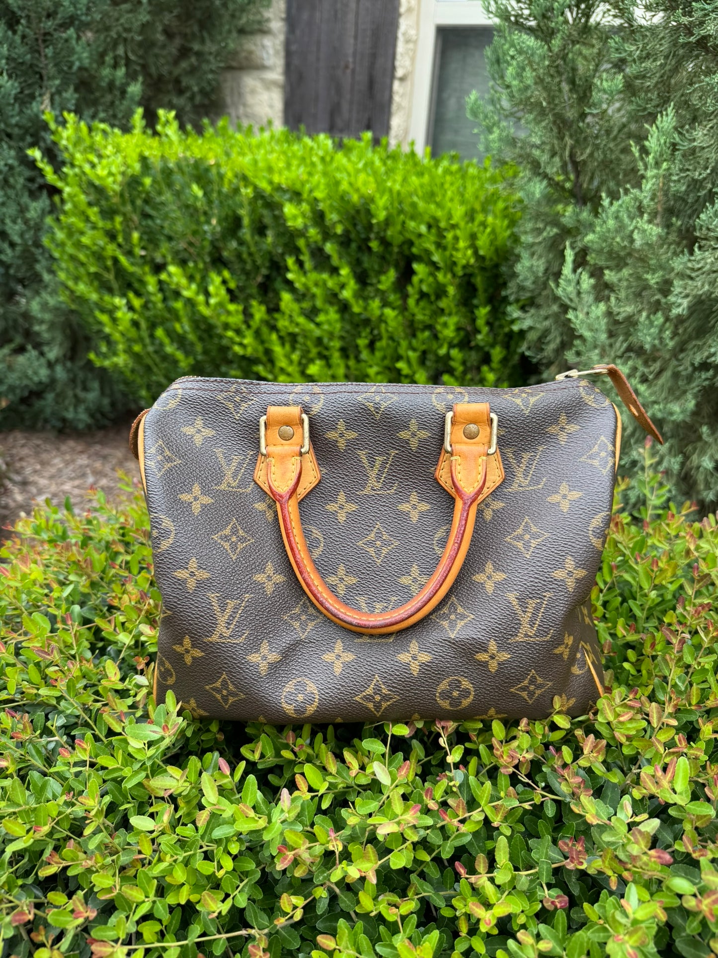 Louis Vuitton Speedy 25 in Monogram Canvas
