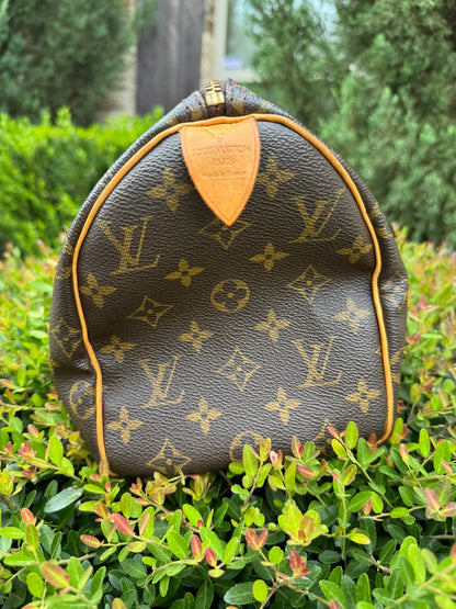 Louis Vuitton Speedy 25 in Monogram Canvas