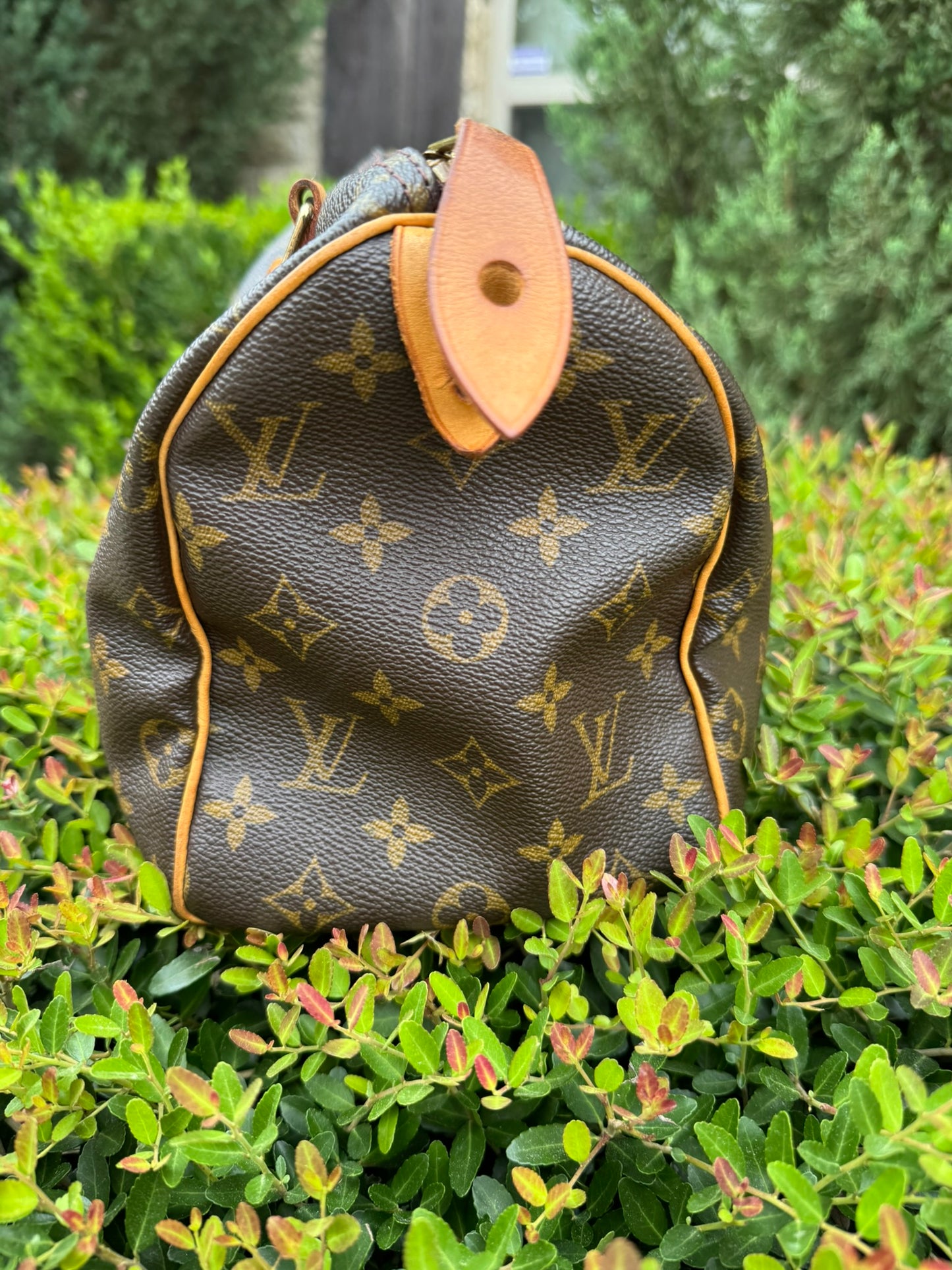 Louis Vuitton Speedy 25 in Monogram Canvas