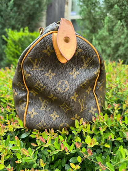 Louis Vuitton Speedy 25 in Monogram Canvas