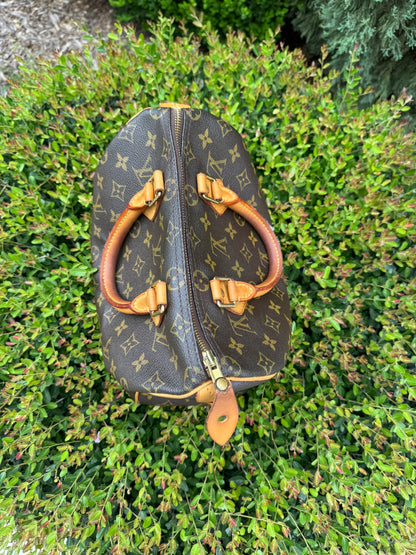 Louis Vuitton Speedy 25 in Monogram Canvas