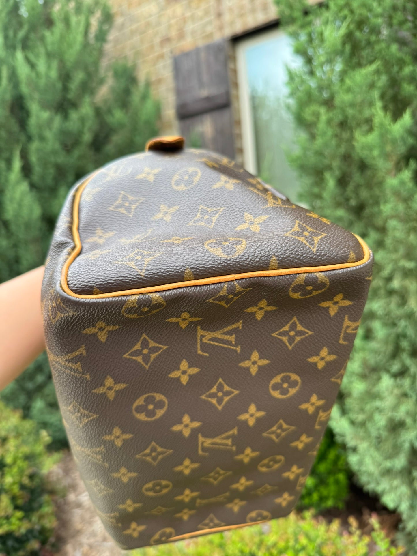 Louis Vuitton Speedy 25 in Monogram Canvas