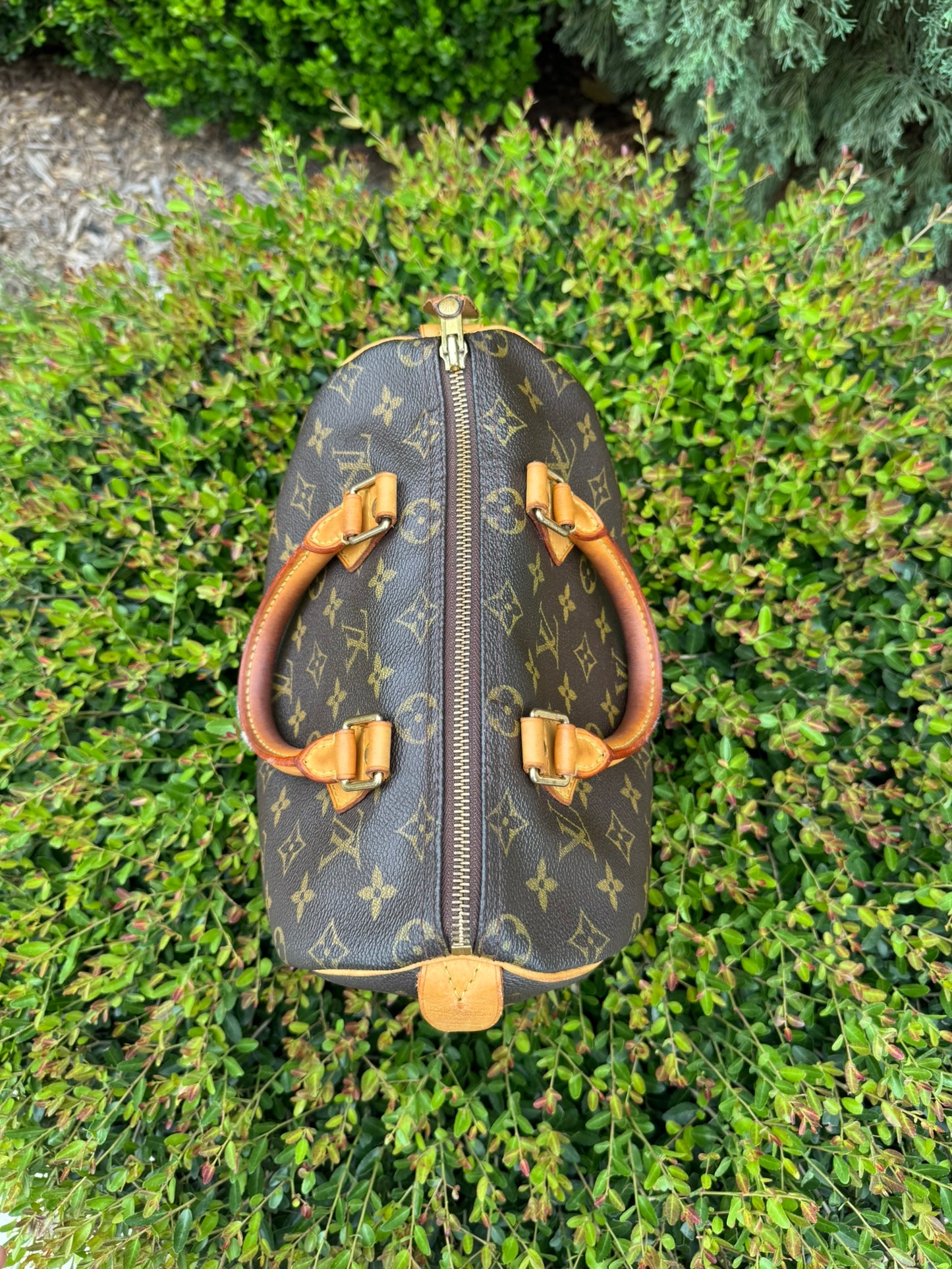 Louis Vuitton Speedy 25 in Monogram Canvas