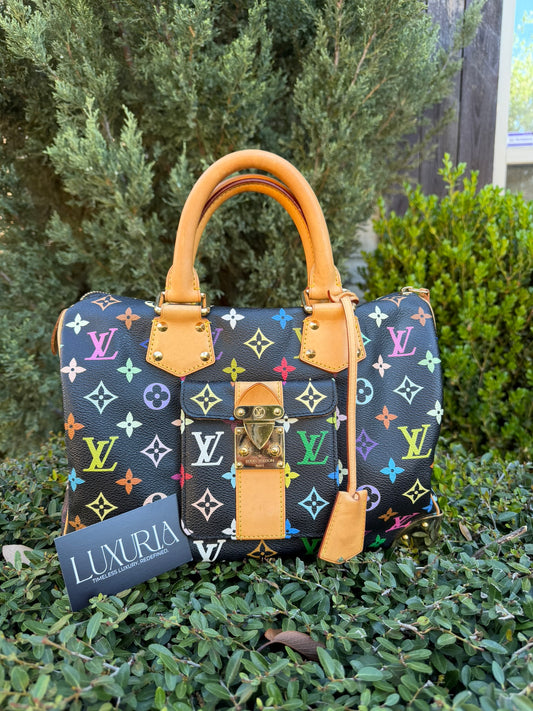 Louis Vuitton Speedy 30 – Multicolor