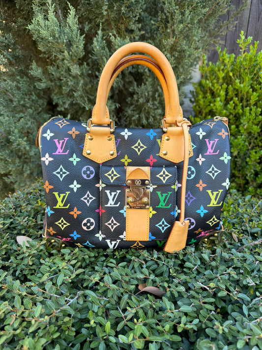 Louis Vuitton Speedy 30 – Multicolor