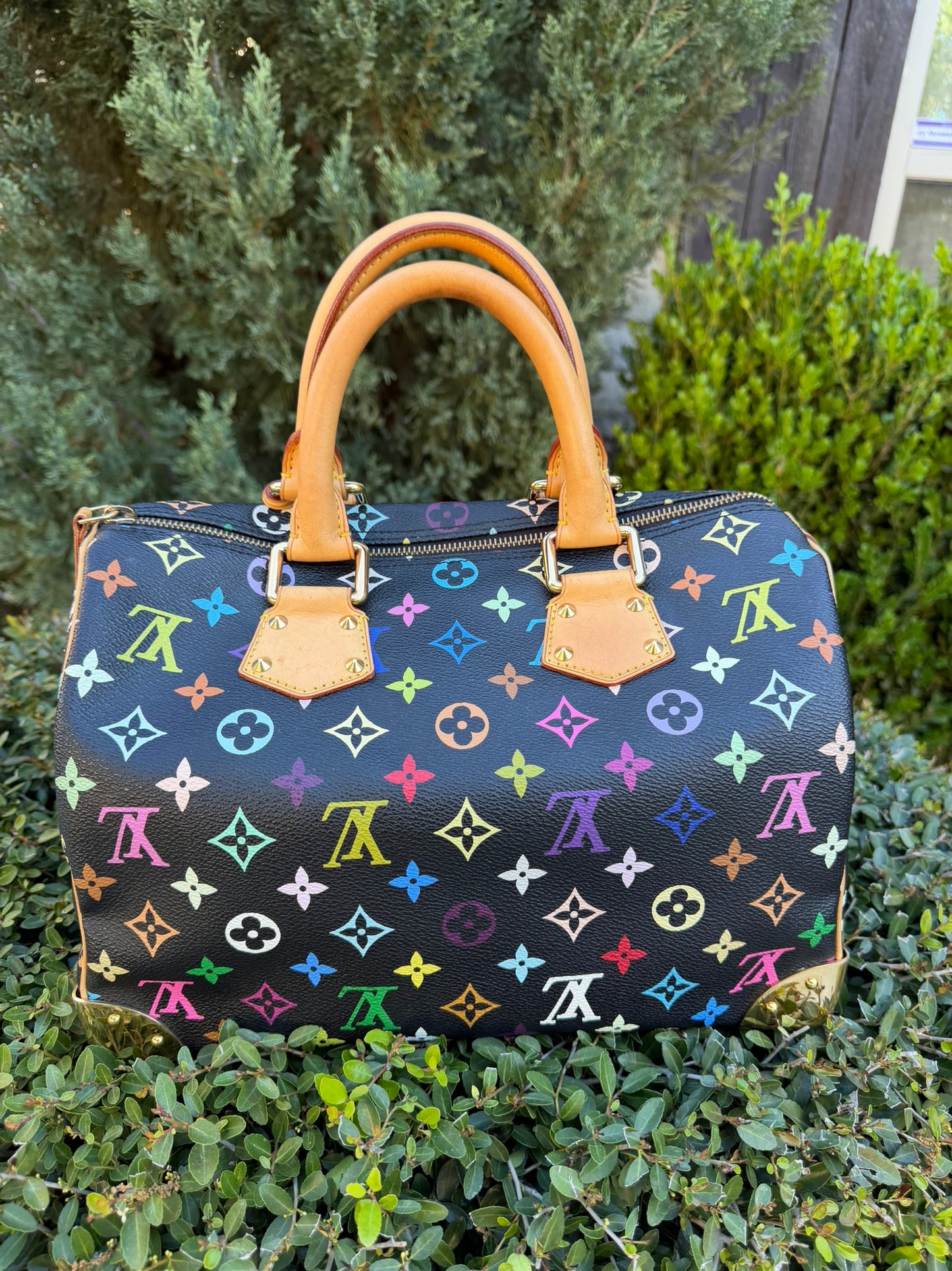 Louis Vuitton Speedy 30 – Multicolor