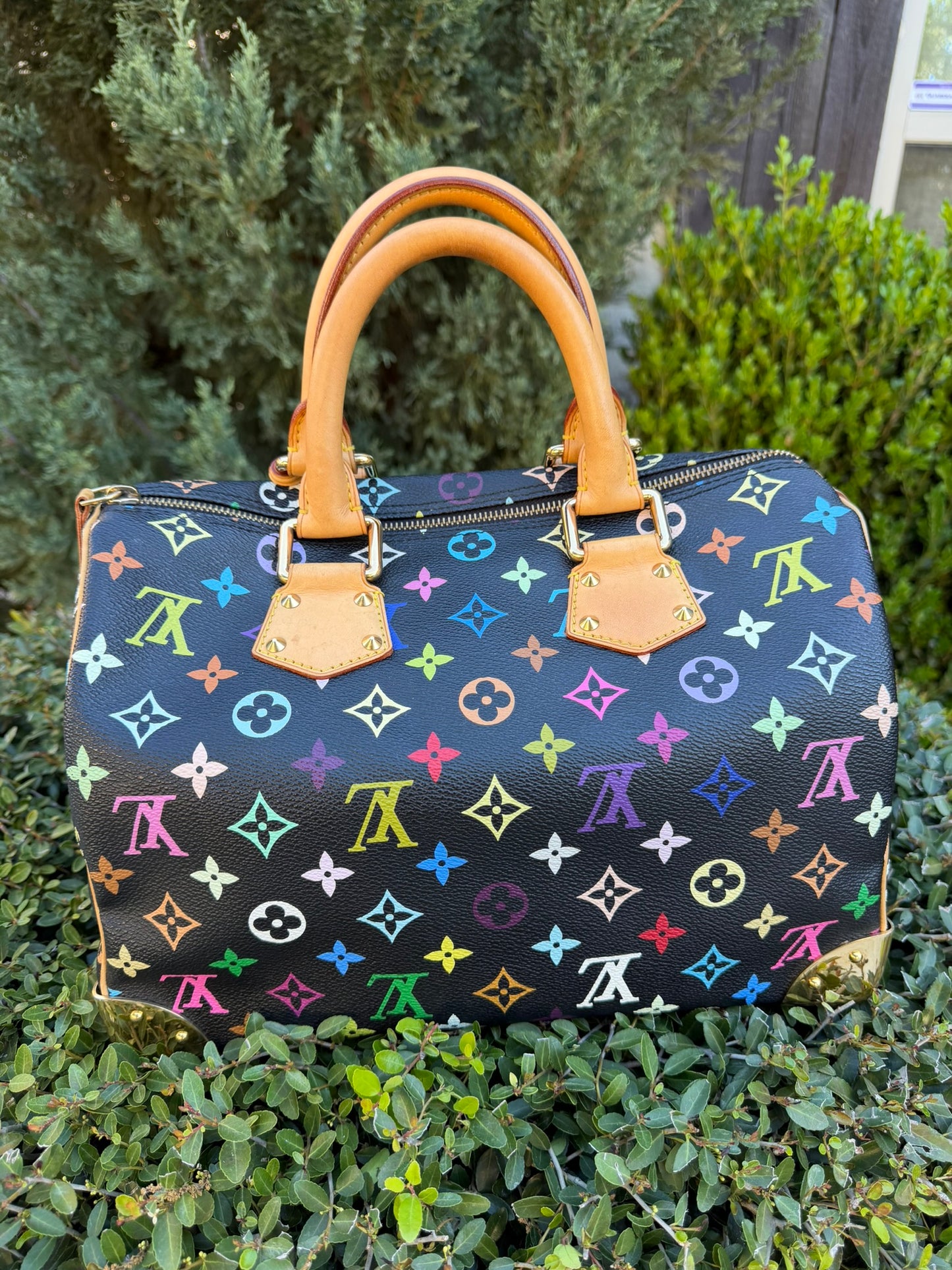 Louis Vuitton Speedy 30 – Multicolor