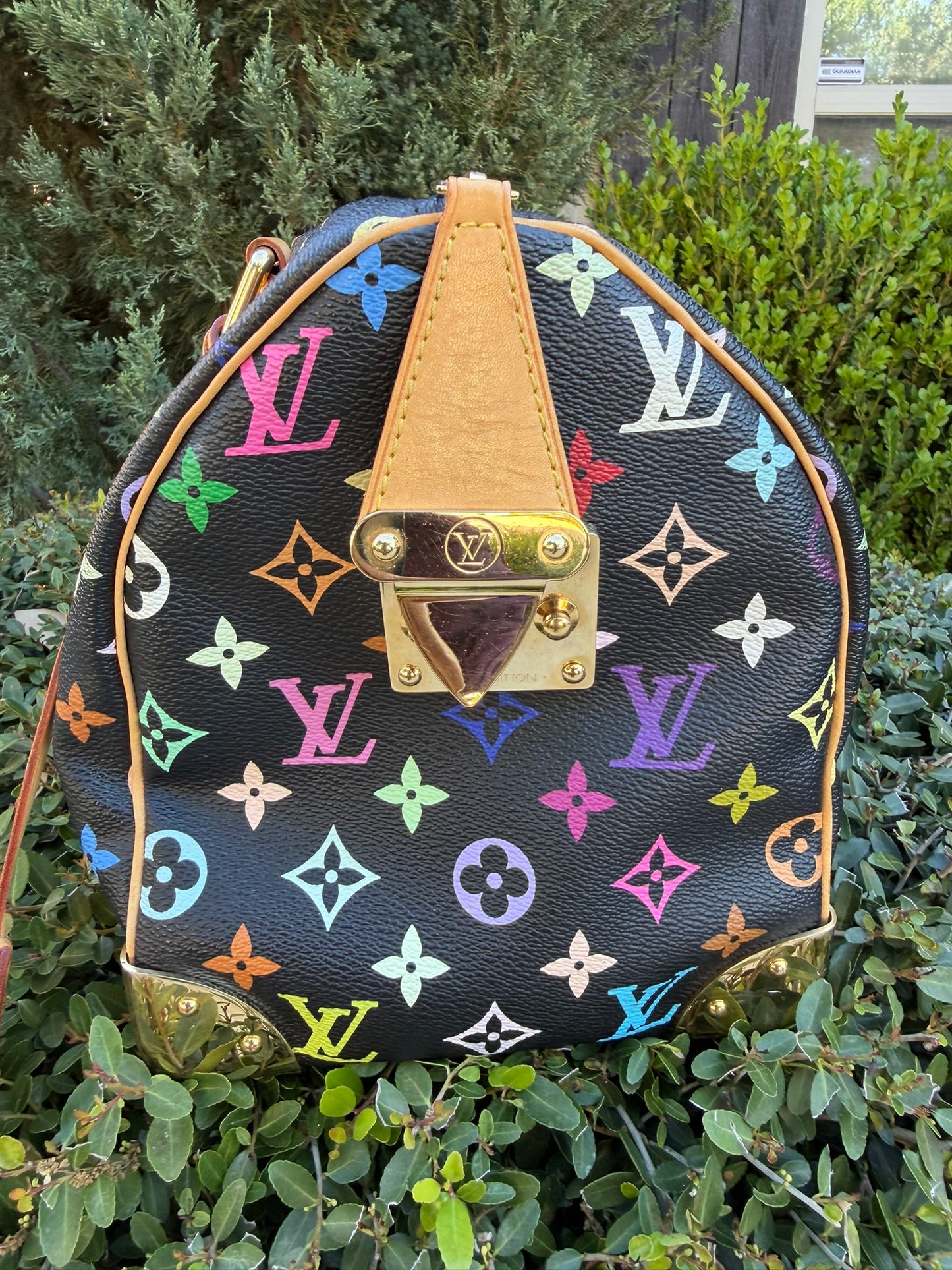 Louis Vuitton Speedy 30 – Multicolor