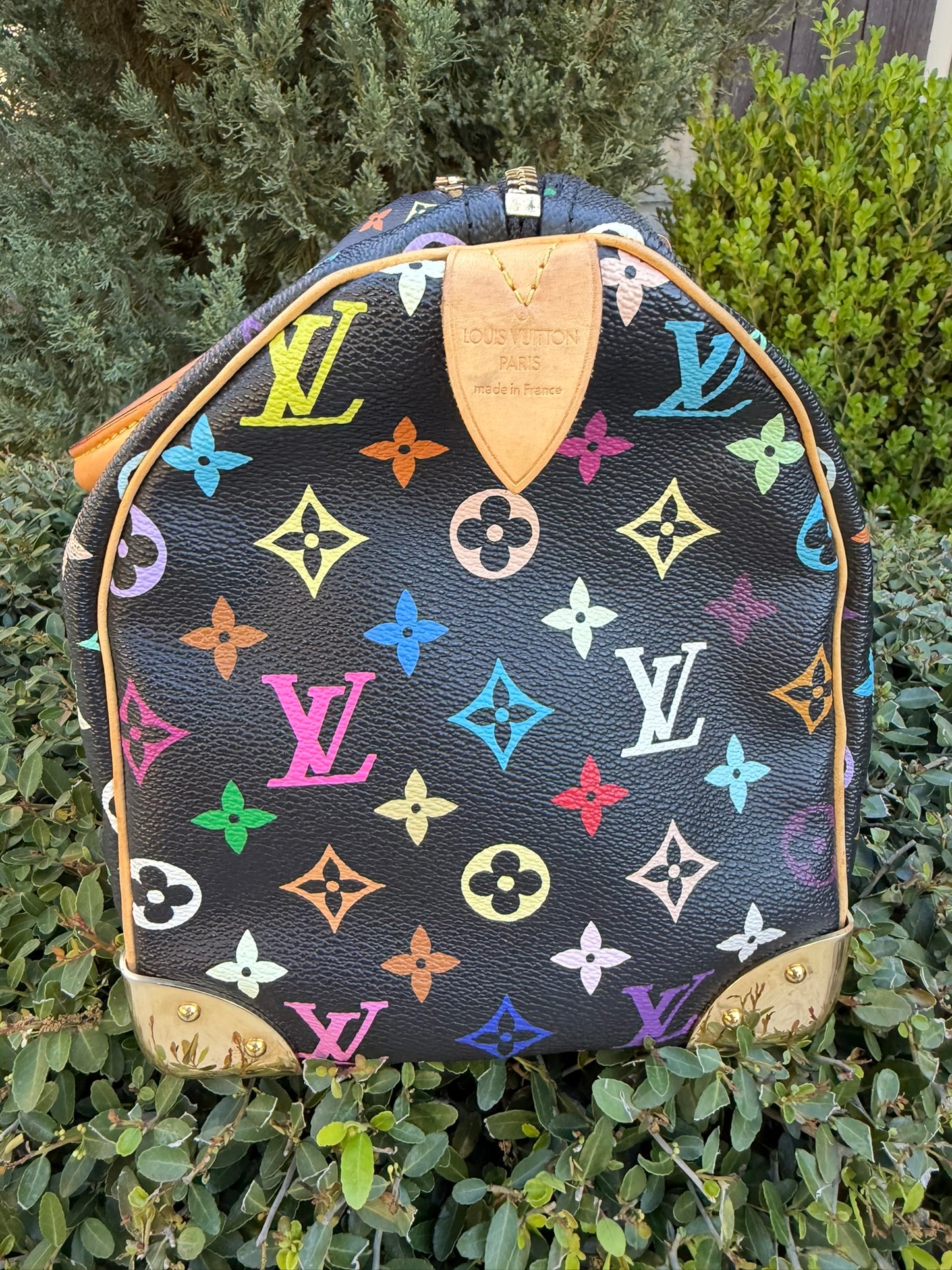 Louis Vuitton Speedy 30 – Multicolor