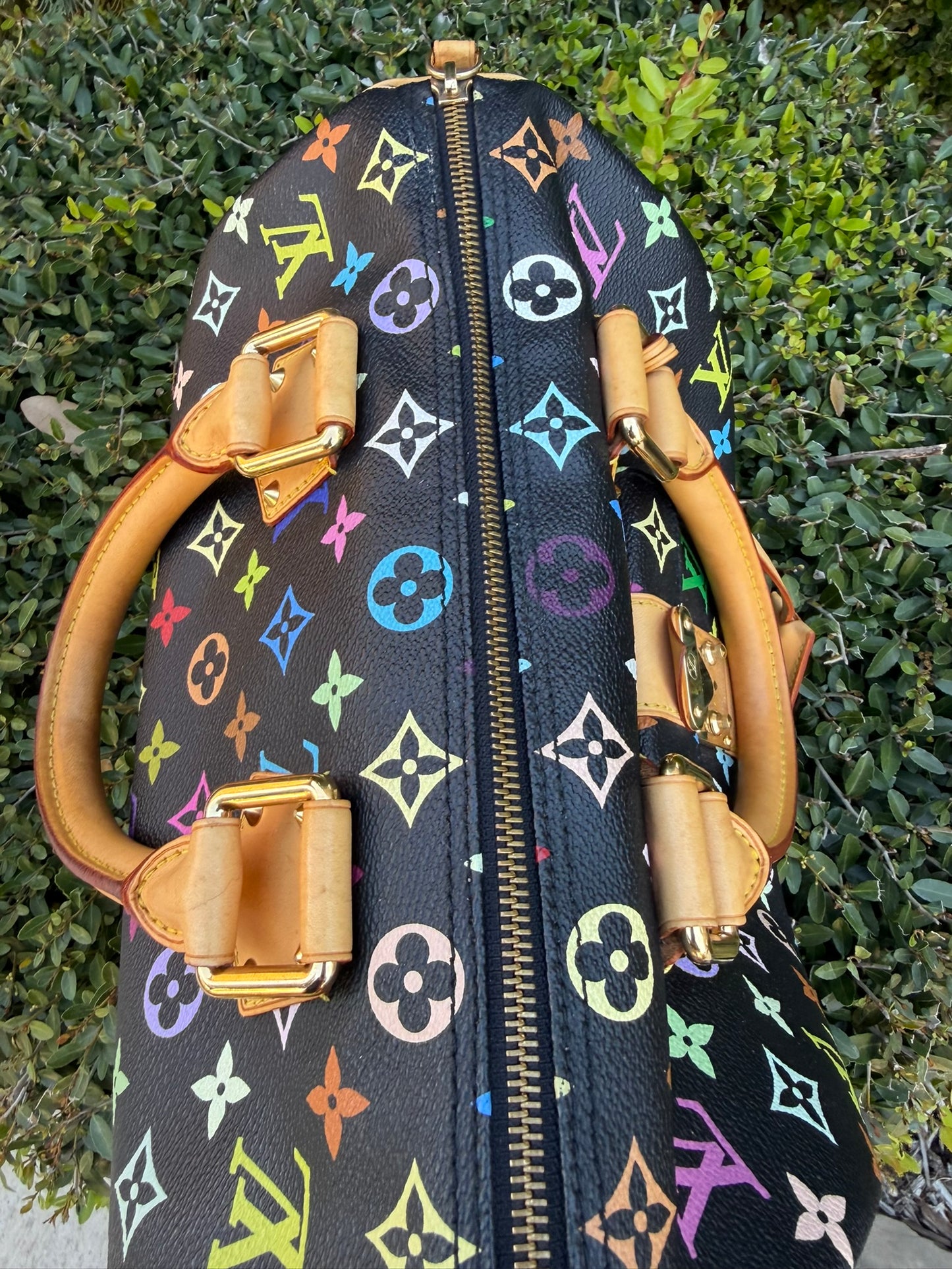 Louis Vuitton Speedy 30 – Multicolor