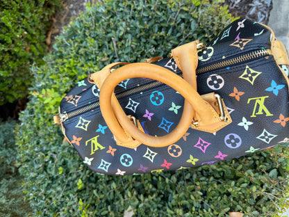 Louis Vuitton Speedy 30 – Multicolor