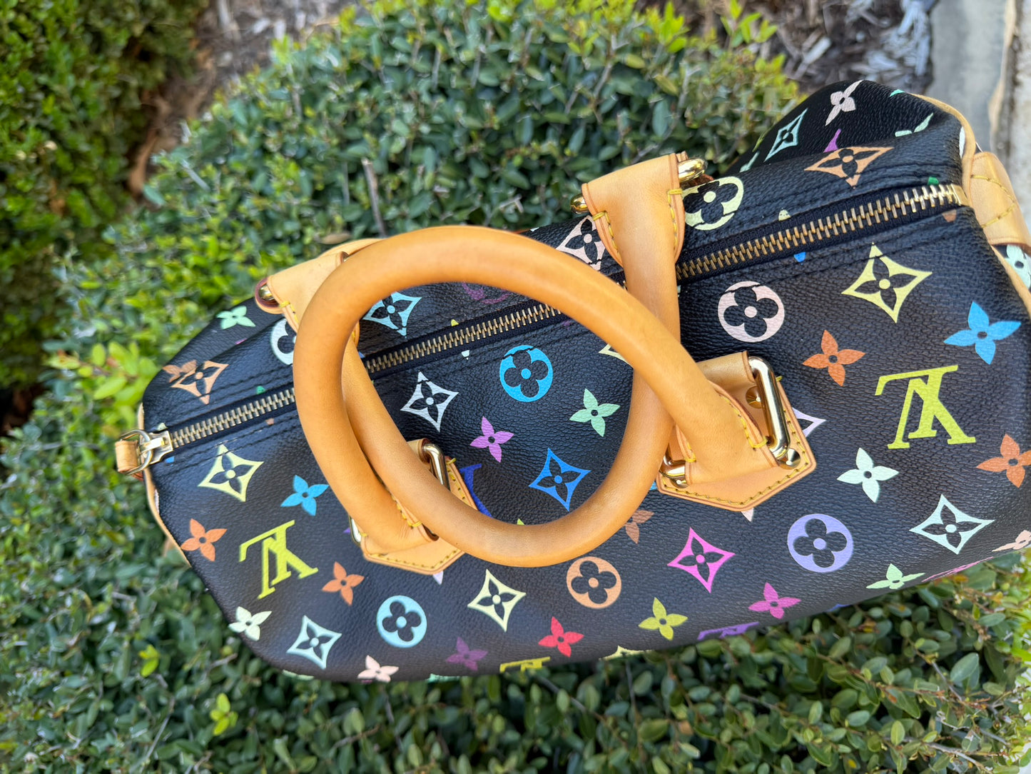 Louis Vuitton Speedy 30 – Multicolor