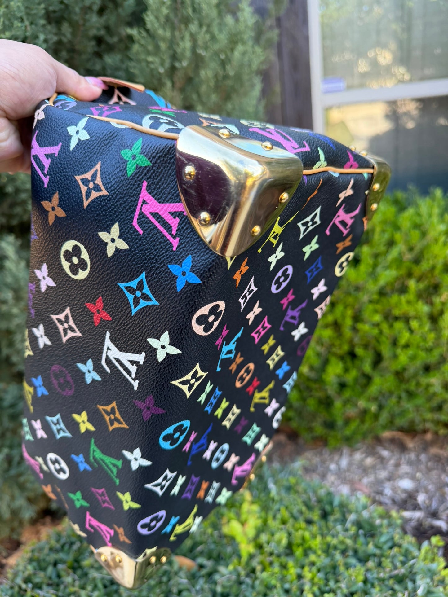 Louis Vuitton Speedy 30 – Multicolor