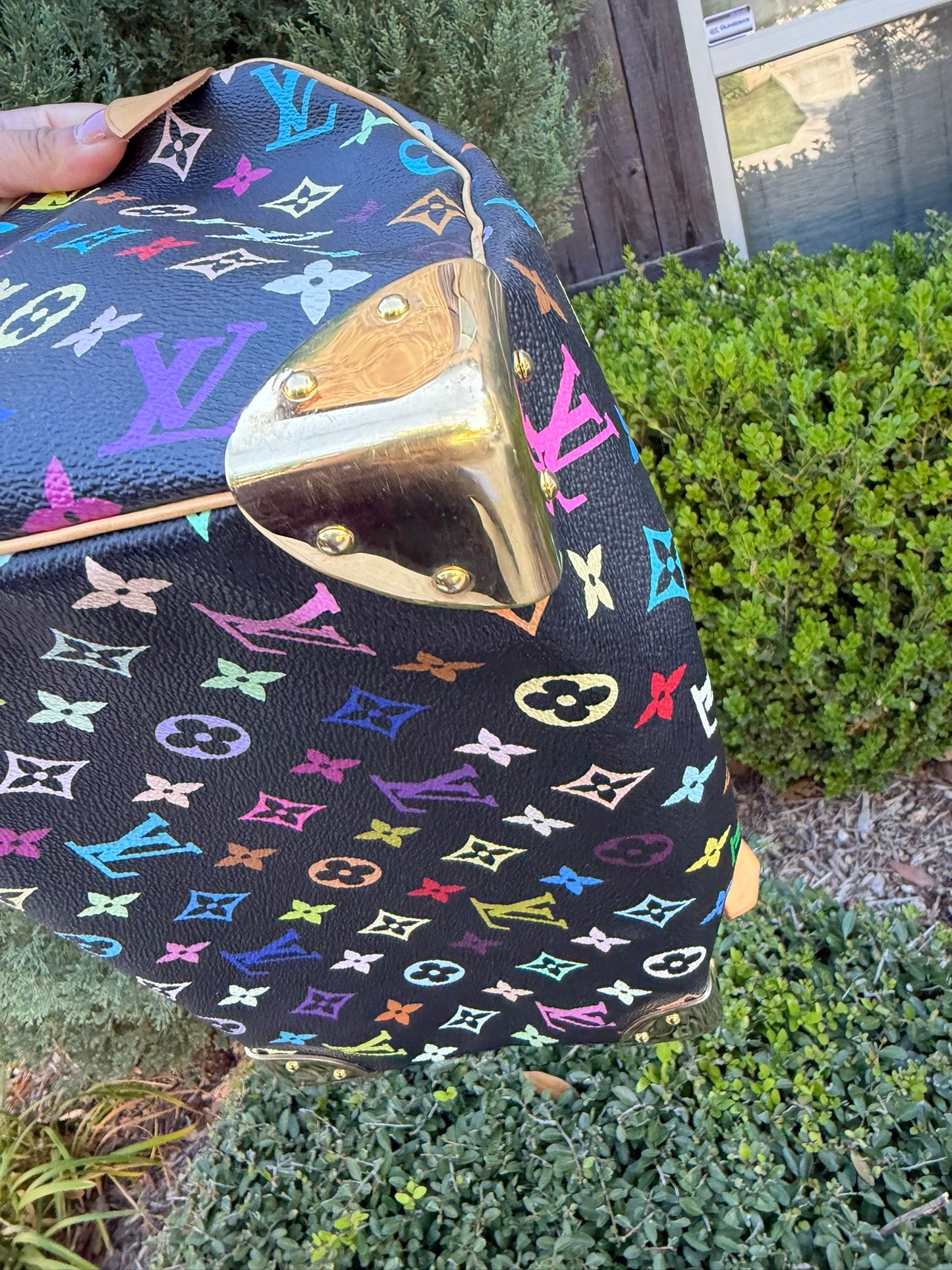 Louis Vuitton Speedy 30 – Multicolor