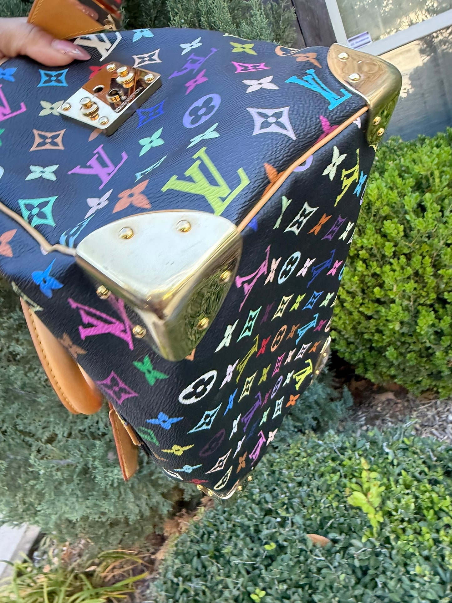 Louis Vuitton Speedy 30 – Multicolor