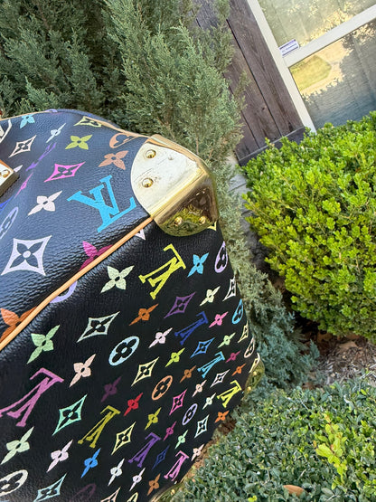 Louis Vuitton Speedy 30 – Multicolor