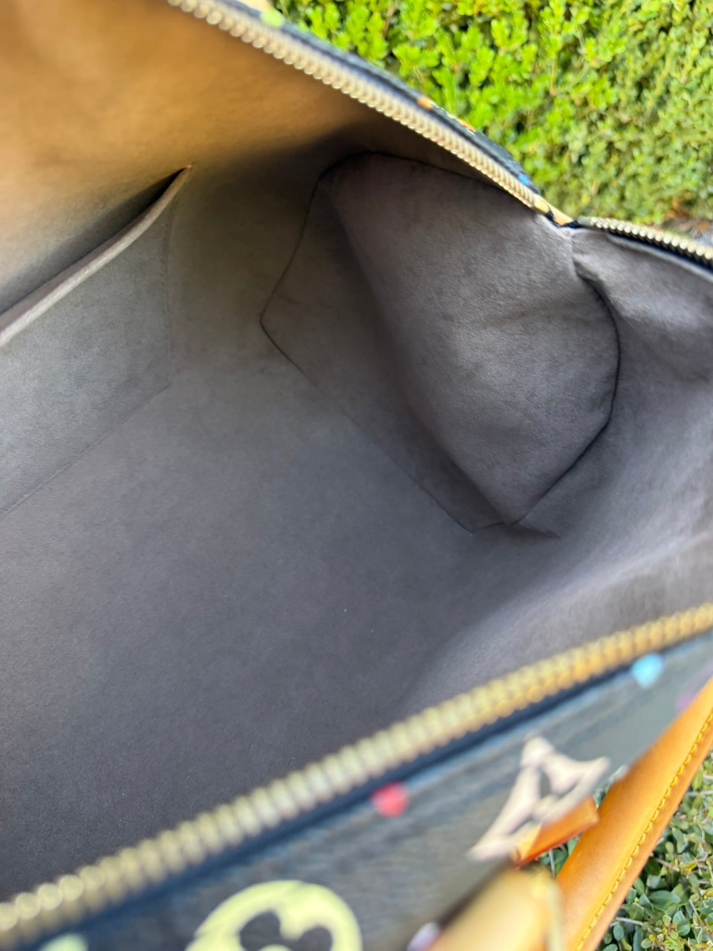 Louis Vuitton Speedy 30 – Multicolor