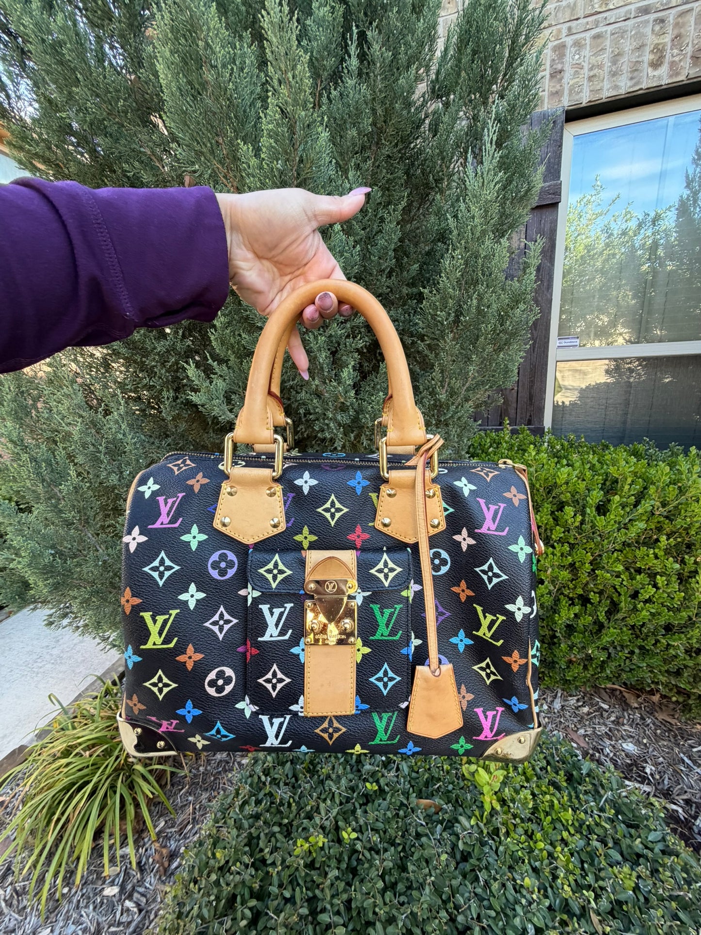 Louis Vuitton Speedy 30 – Multicolor