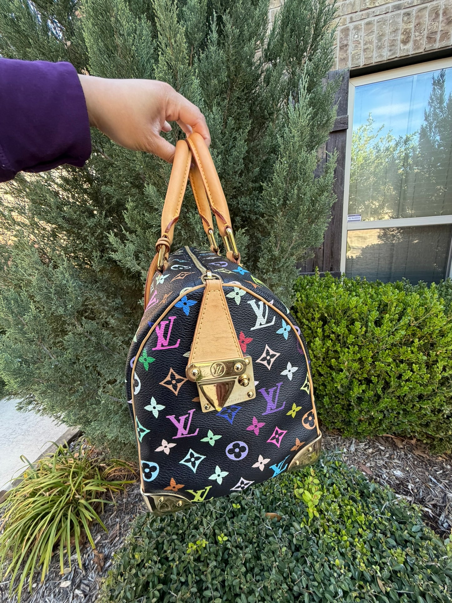 Louis Vuitton Speedy 30 – Multicolor
