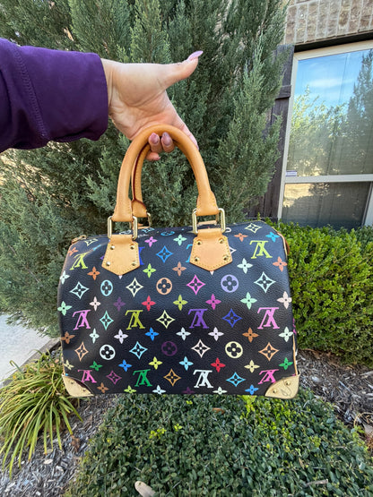 Louis Vuitton Speedy 30 – Multicolor