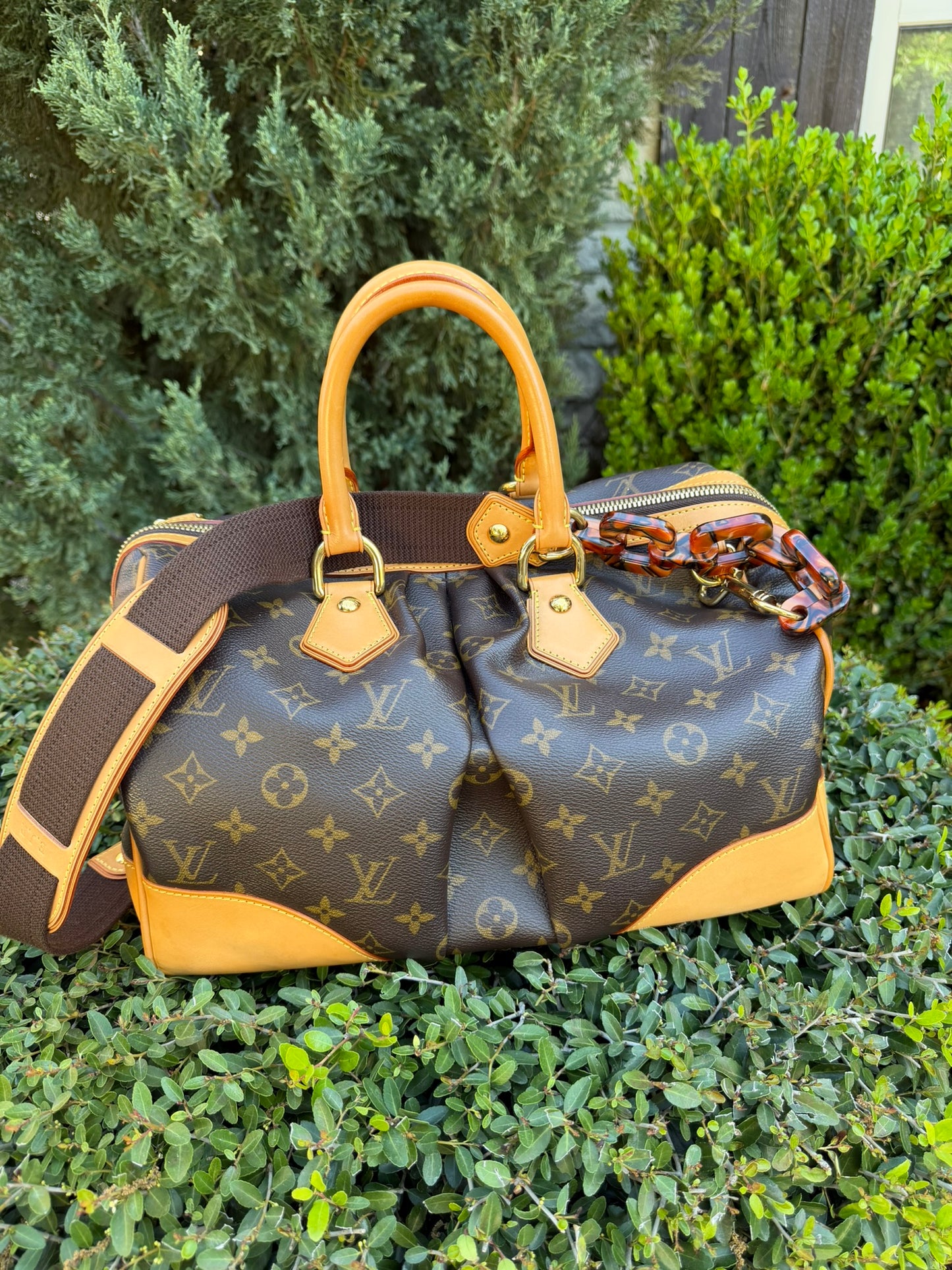 Louis Vuitton Stephen Bag – Limited Edition Monogram Canvas