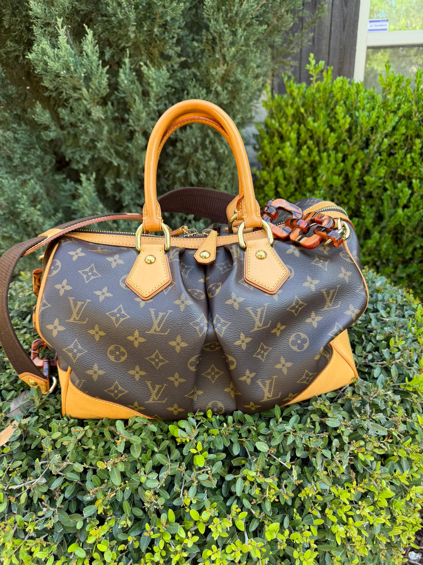 Louis Vuitton Stephen Bag – Limited Edition Monogram Canvas